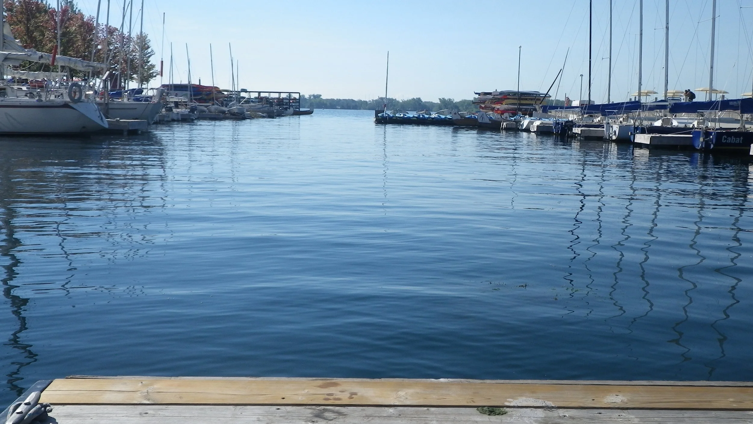 Proposed changes to Canada's environmental legislation