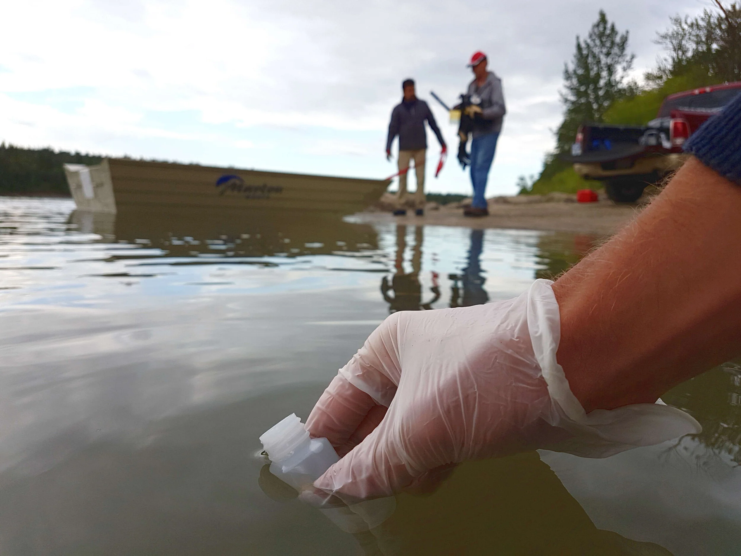 Honouring the Citizen Scientists of the Toronto Monitoring Hub