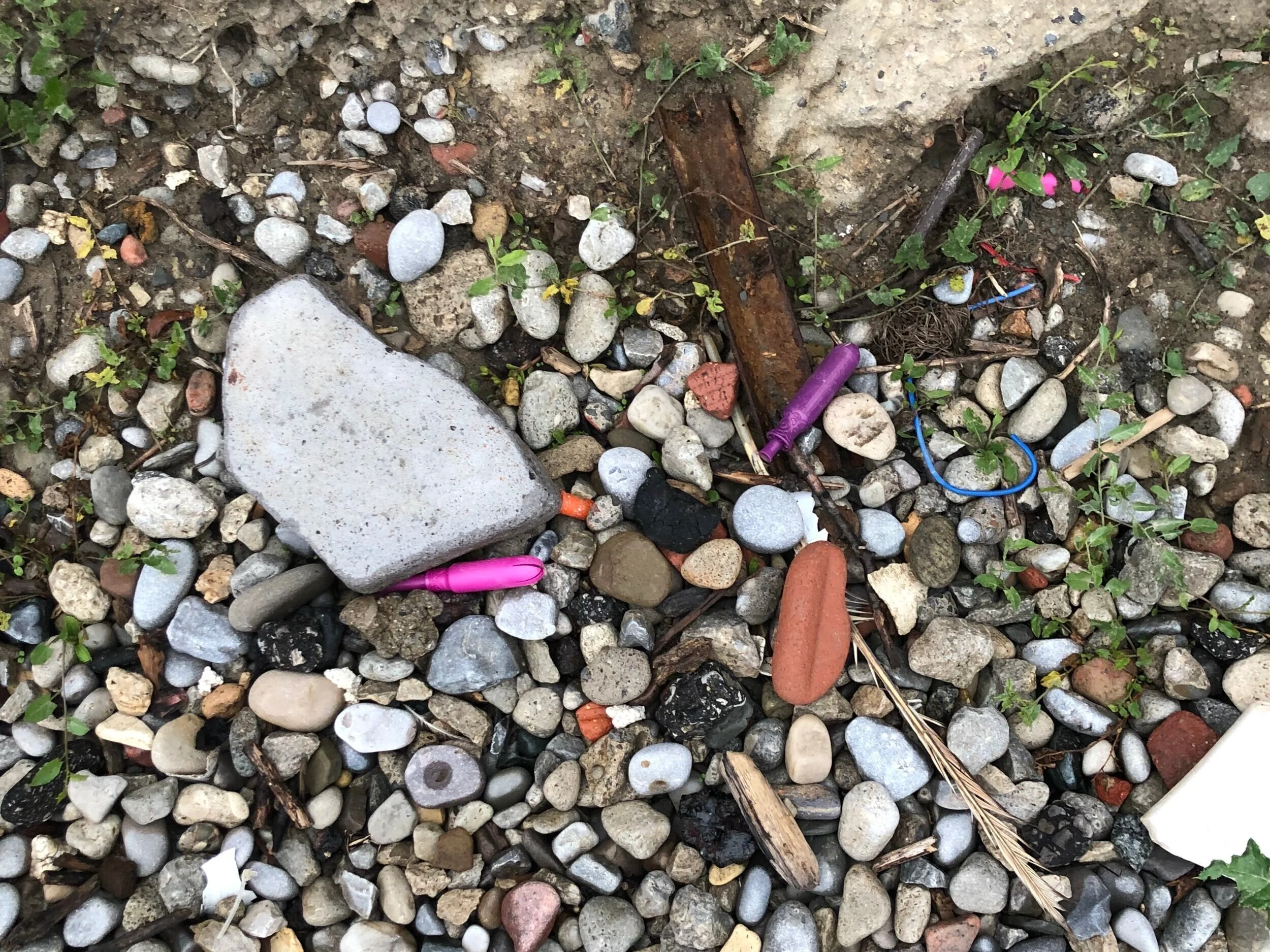 Frequently Asked Questions: Sewage spill in Chedoke Creek, Hamilton Harbour