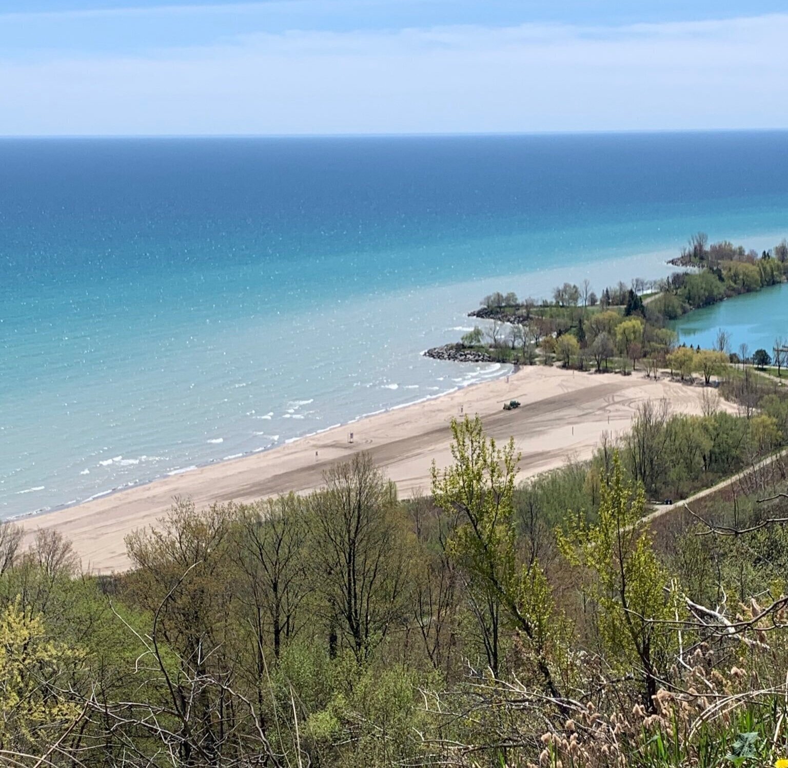 2020: The Summer of Swimming