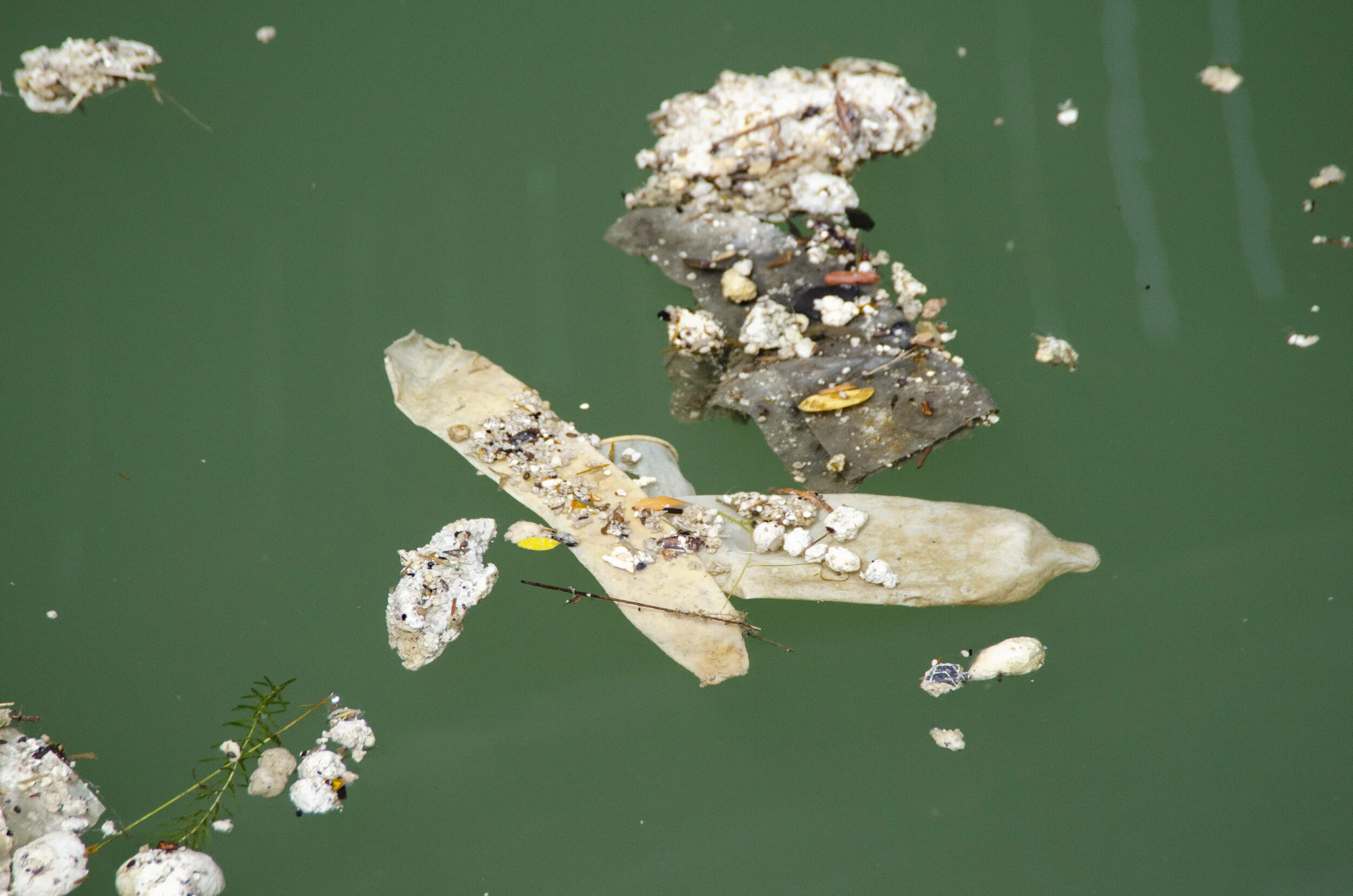 A Citizen’s Guide to the Wastewater Data Published on the Open Government Portal
