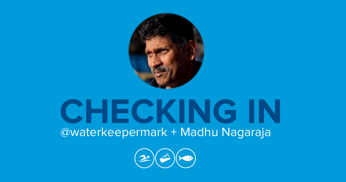 Checking In with @waterkeepermark and Swim Drink Fish Ambassador Madhu Nagaraja
