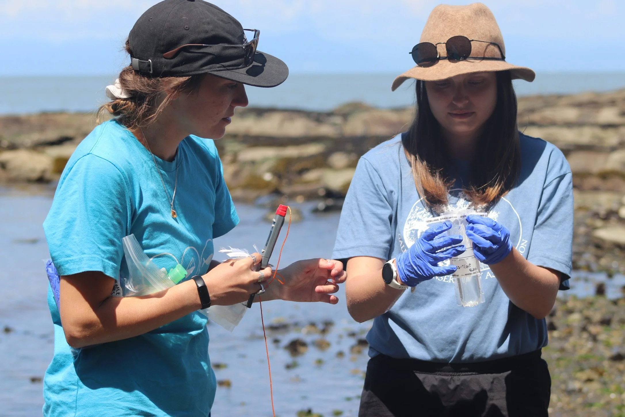 Explore Water Monitoring With Swim Drink Fish