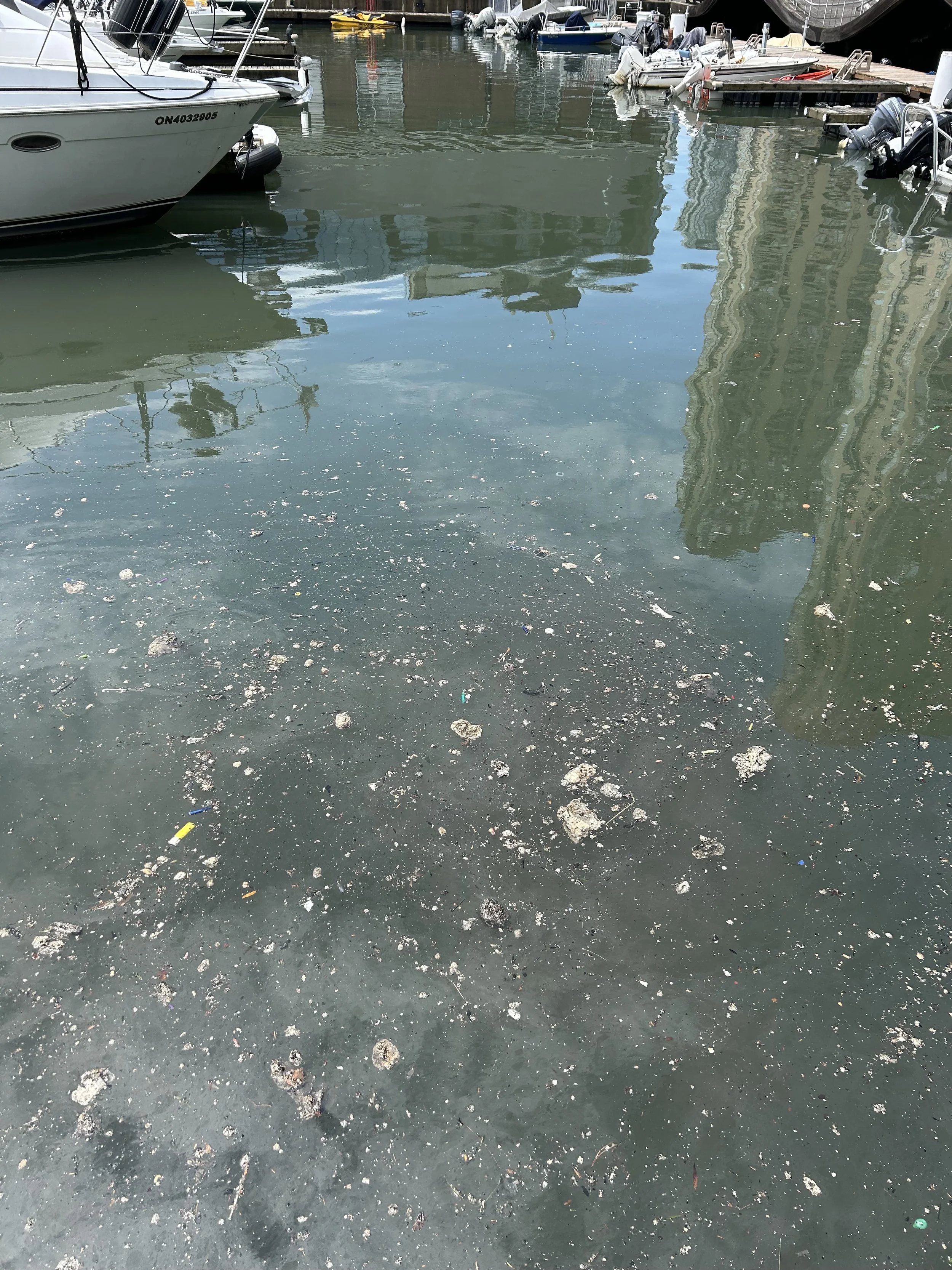 3. Advocating for Real-Time Monitoring in the City of Toronto