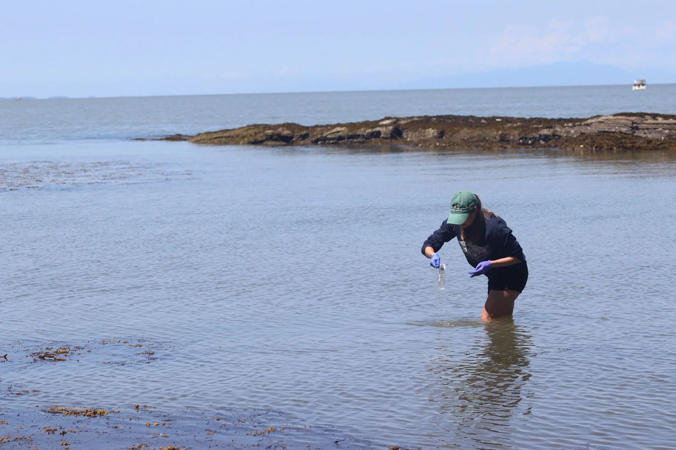 Galiano Island BioBlitz