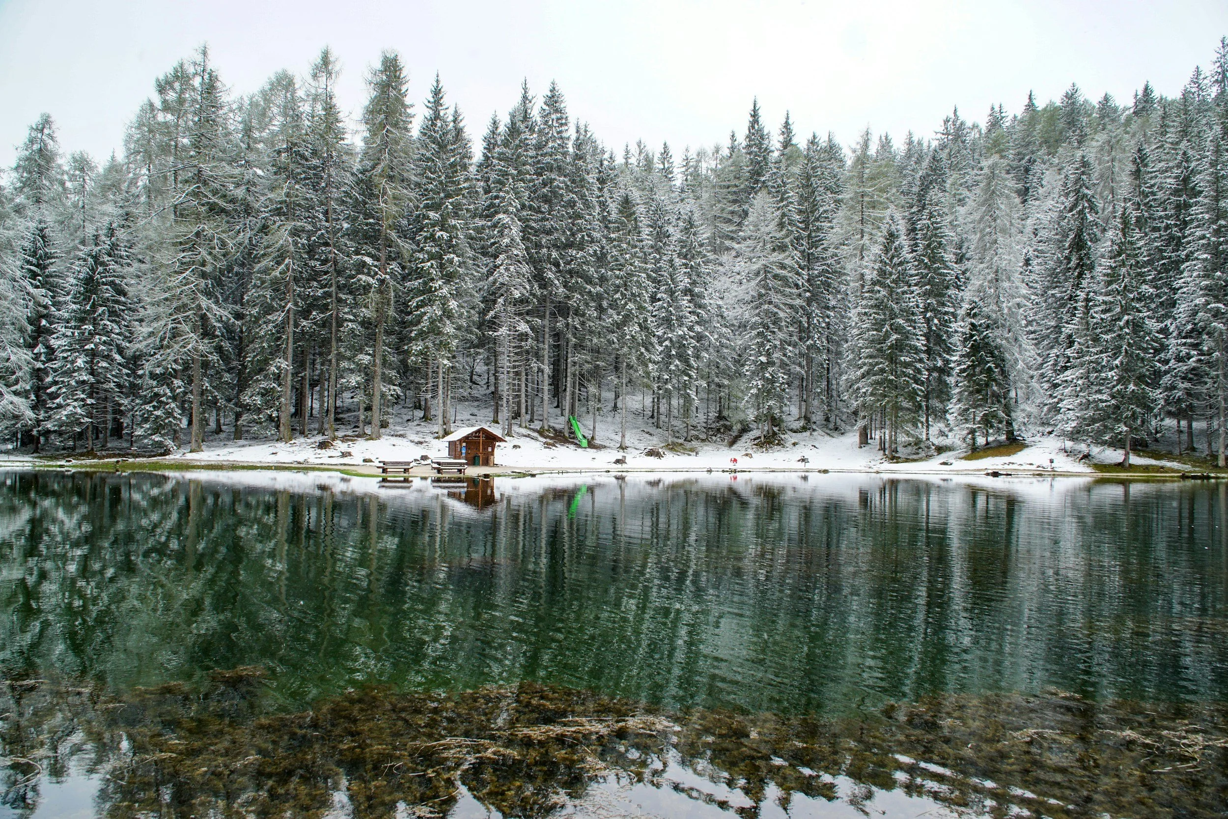 5 Ways to Protect Water in 2026