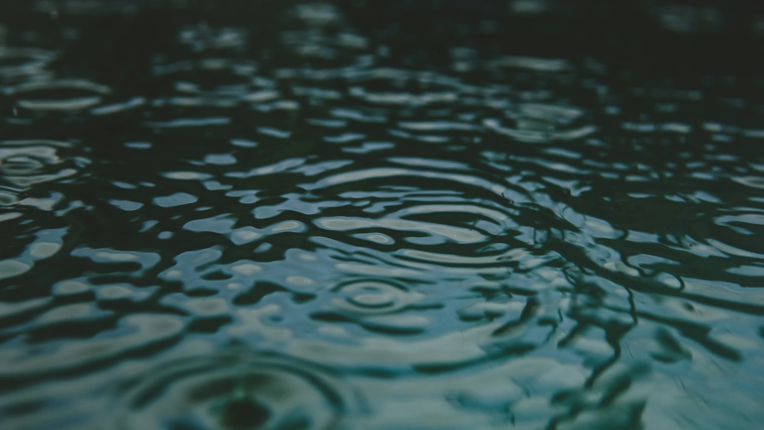 Waterkeepers would not be Waterkeepers without one another.