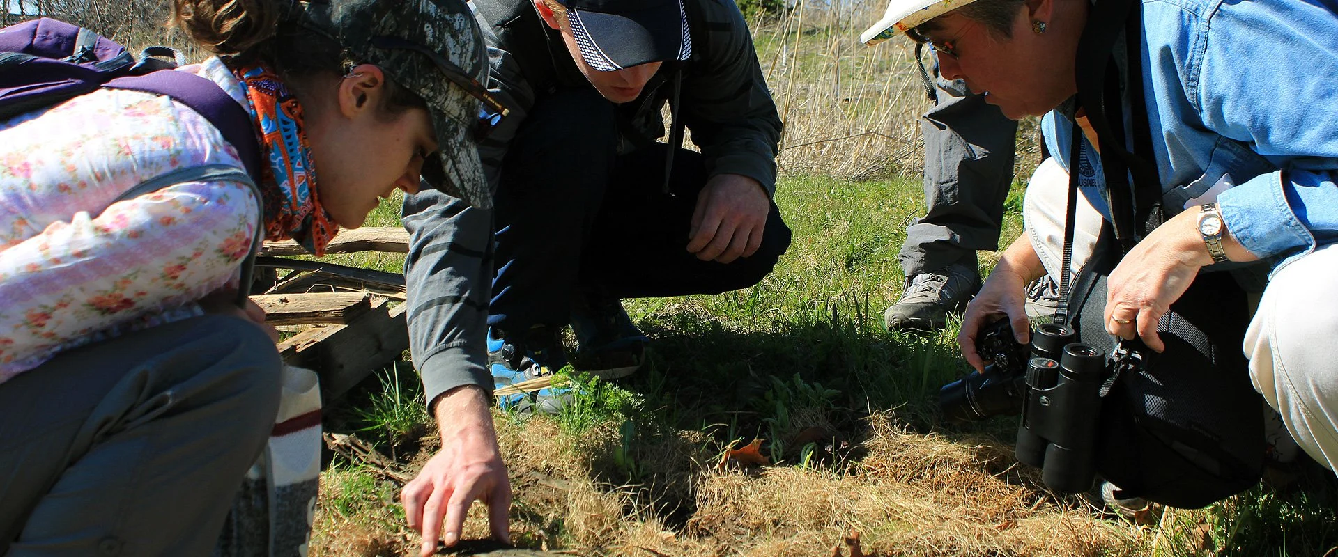 Niagara College BioBlitz