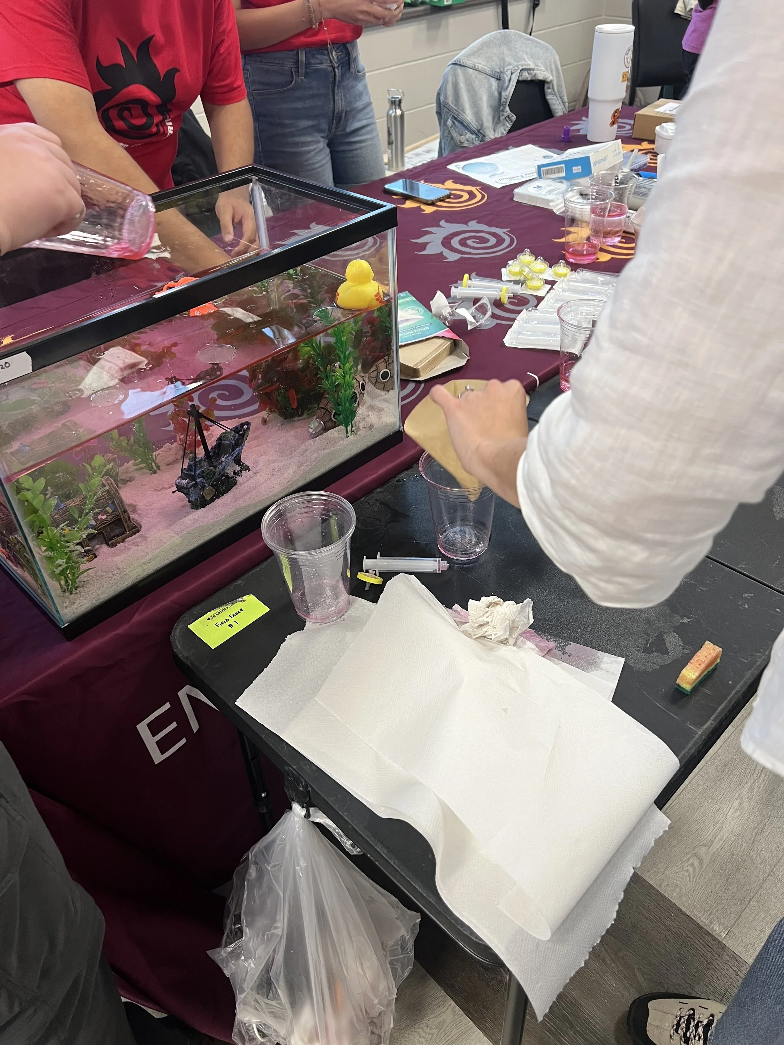IMG_5234.jpeg