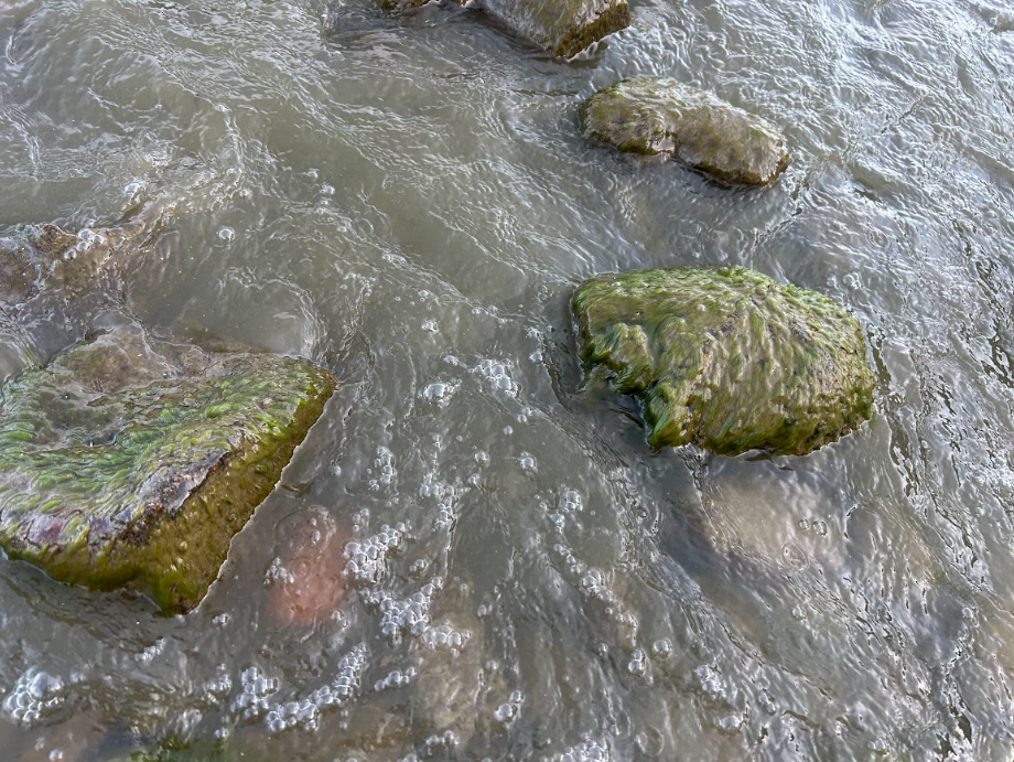 Tracking Niagara's Changing Shorelines with VAST