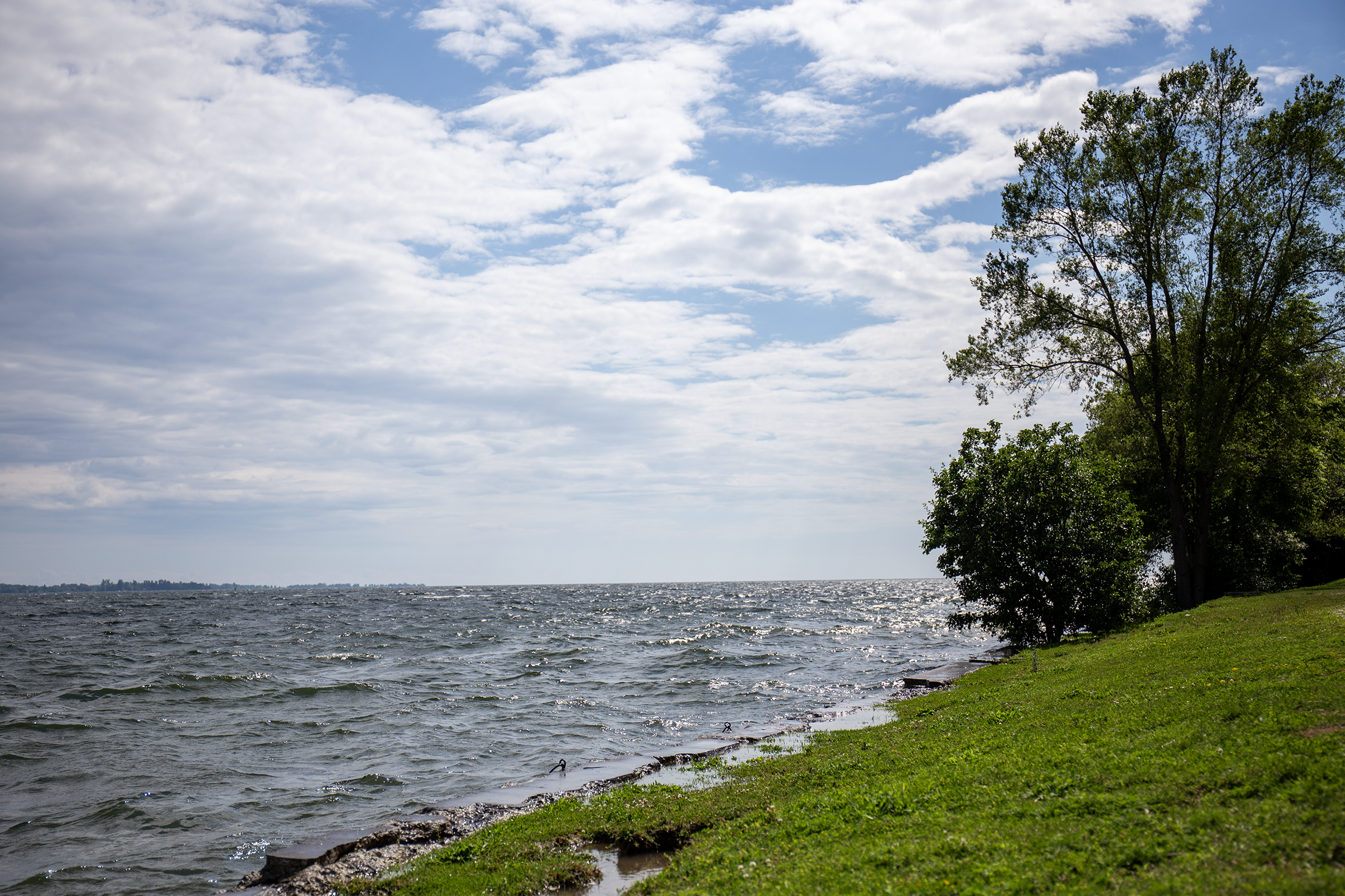 Start a Virtuous Cycle: Go Swim