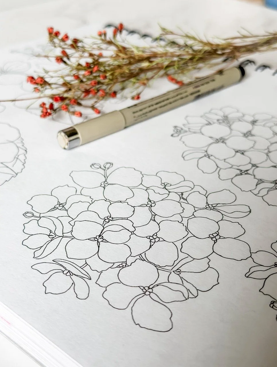 hydrangea-line-art-ink-00-Katie Stack.jpeg