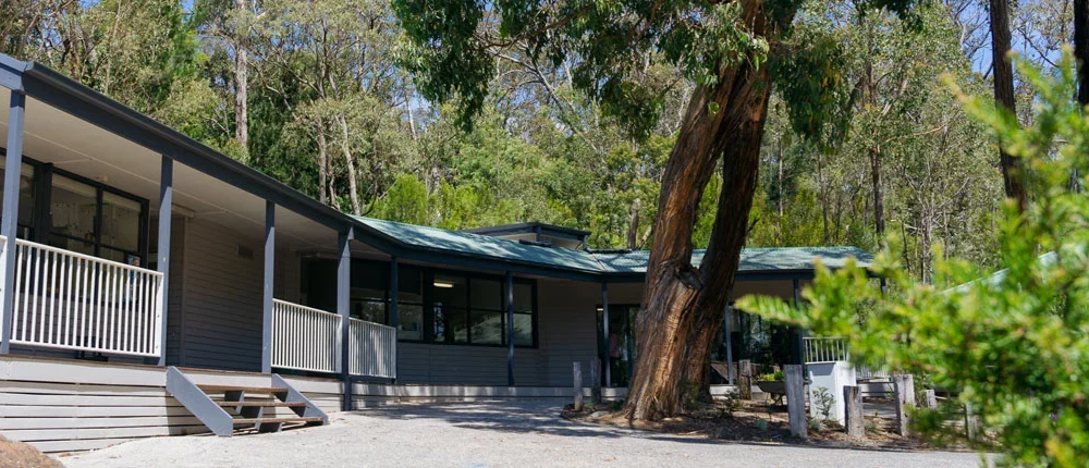Single level classroom building with large gum tree in front of the building with dense bushland visible behind the building.