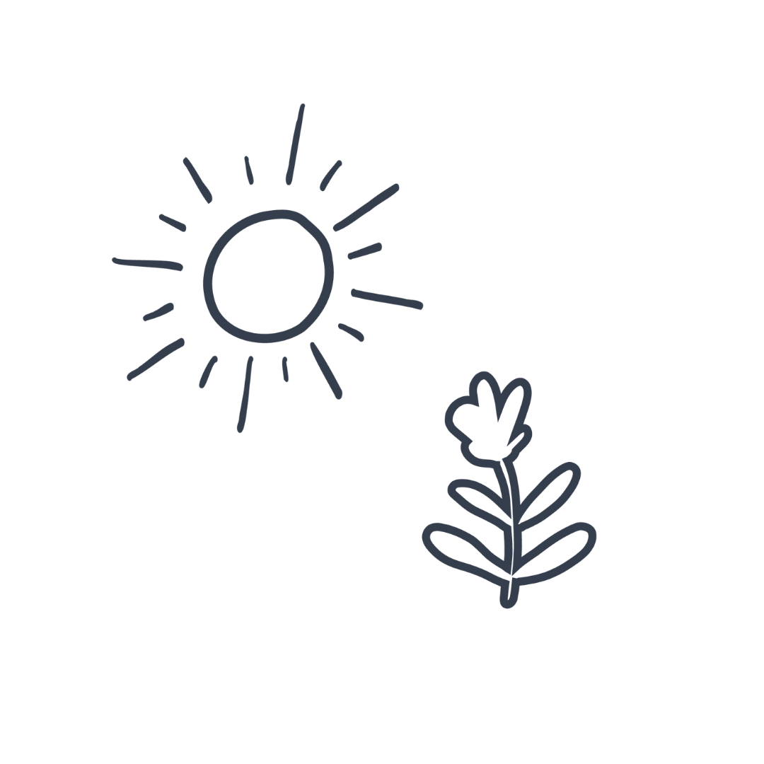 A simple line drawing of a sun with rays and a plant with leaves.