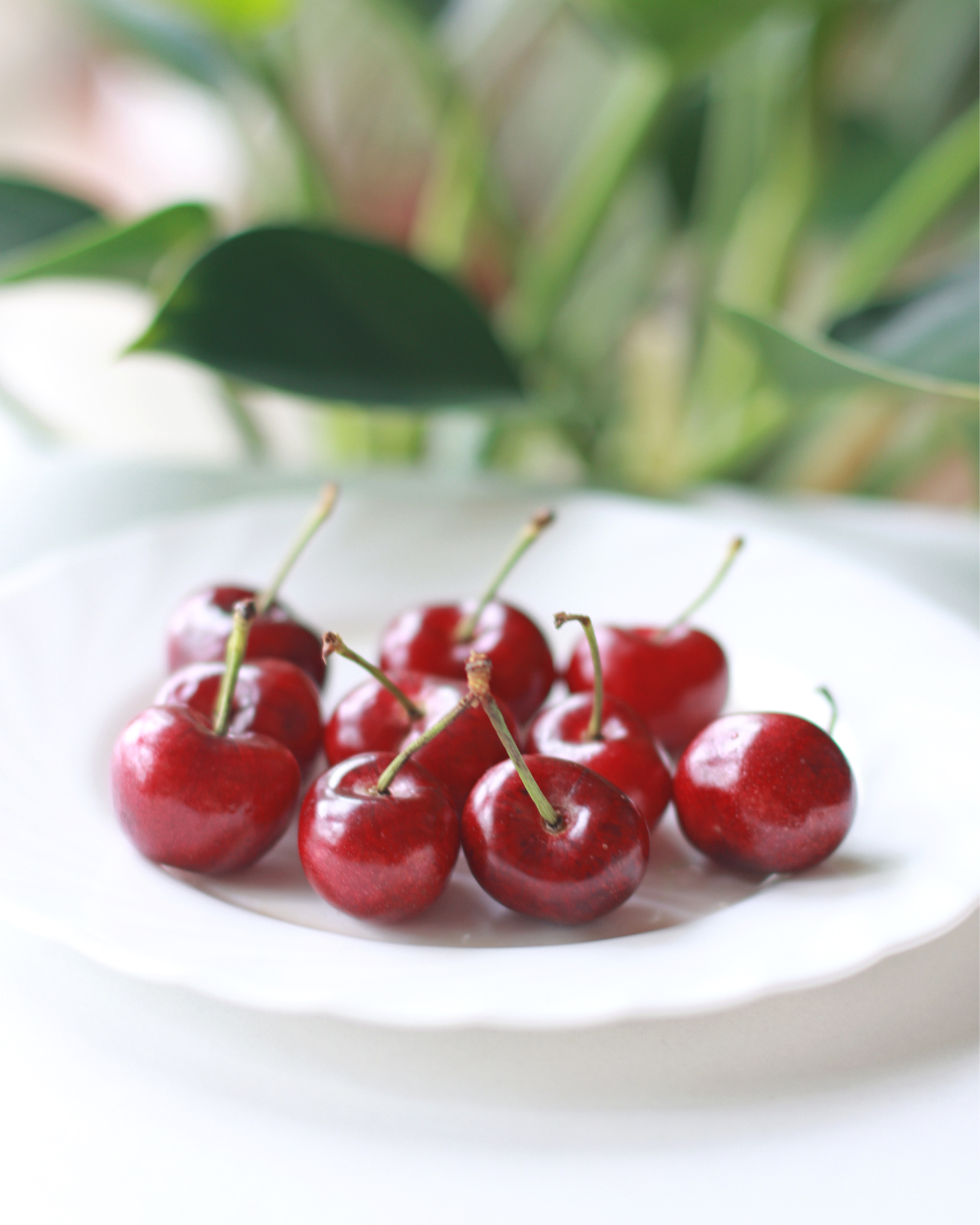 Cherry Kernel Oil.png