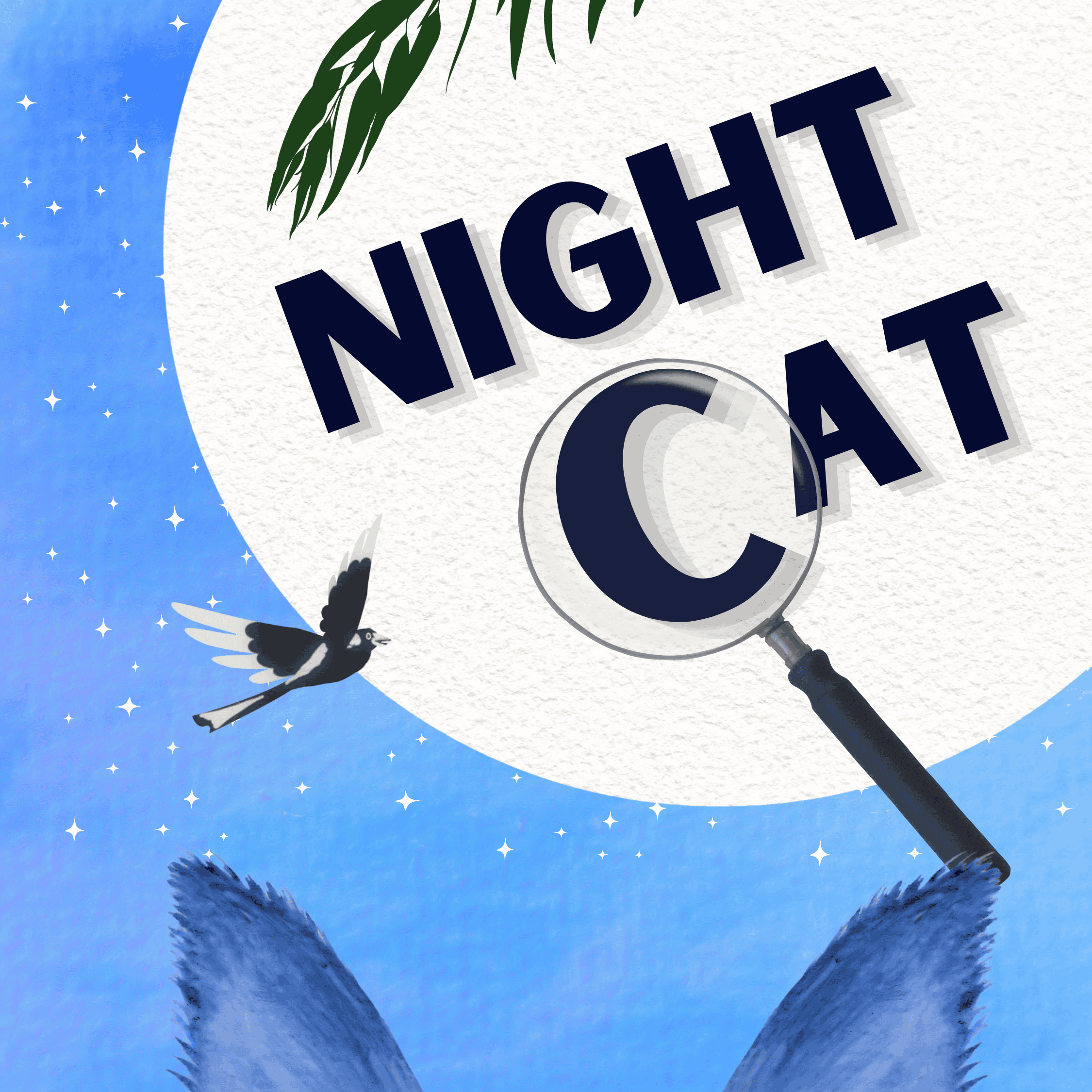 An illustrated pair of blue-grey fuzzy cat's ears poke up at the bottom against a night sky where the words 'Night Cat' run across the large moon. A playful magpie 'Swoop' flies towards the moon, and a single eucalyptus branch hangs overhead.