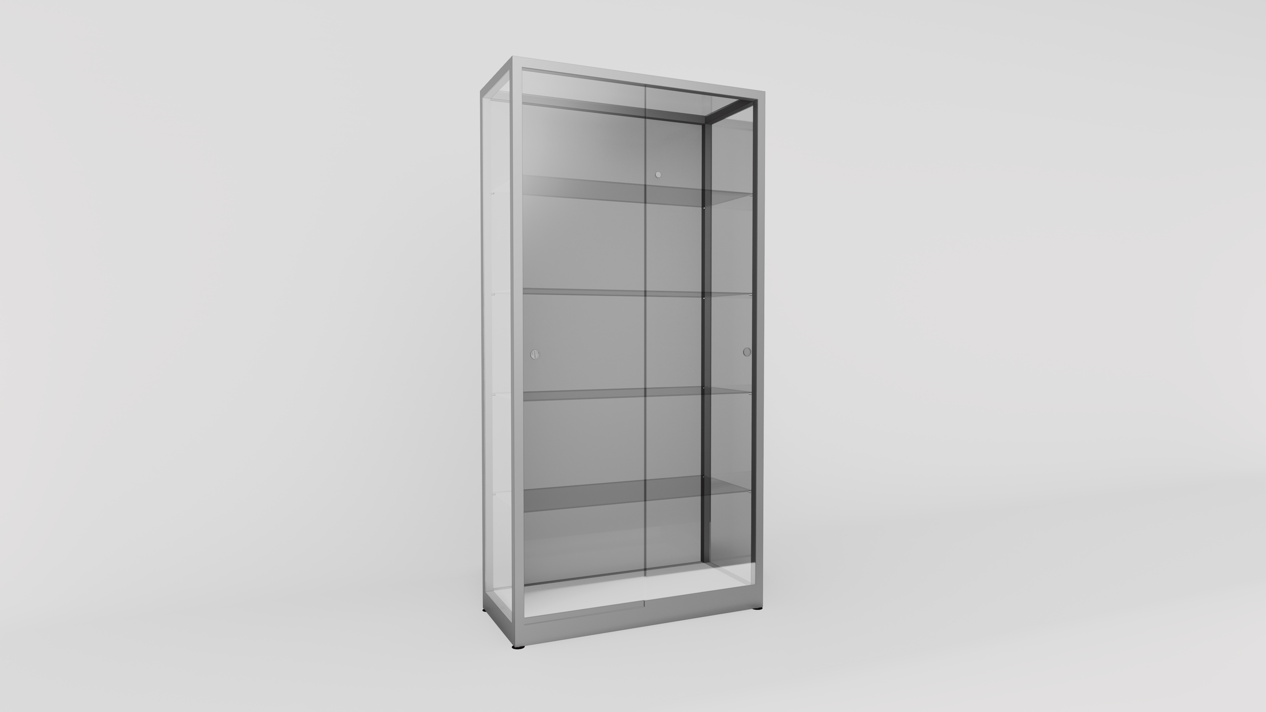 NS1 CABINET