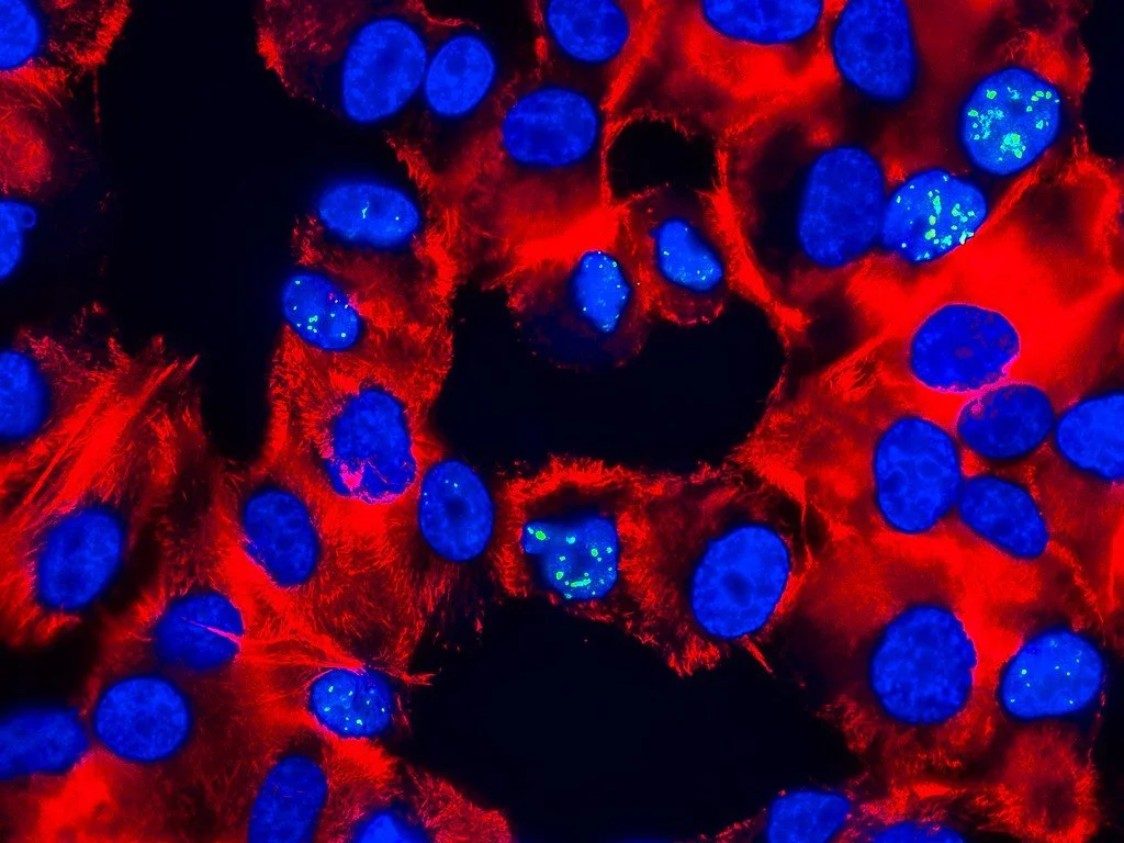 McGill Genome Centre in Montreal, Quebec