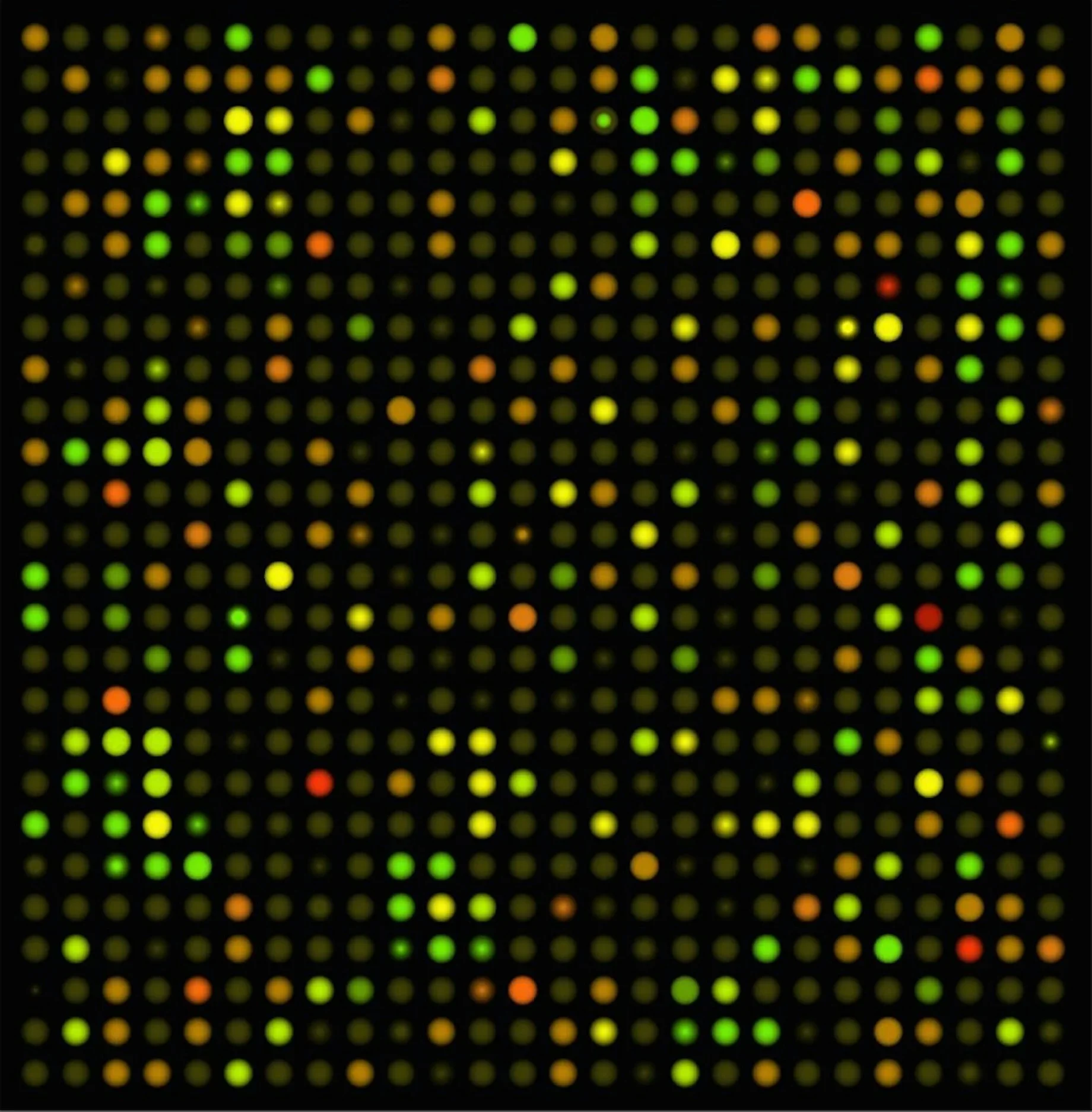 Genotyping at the McGill Genome Centre in Montreal, Quebec