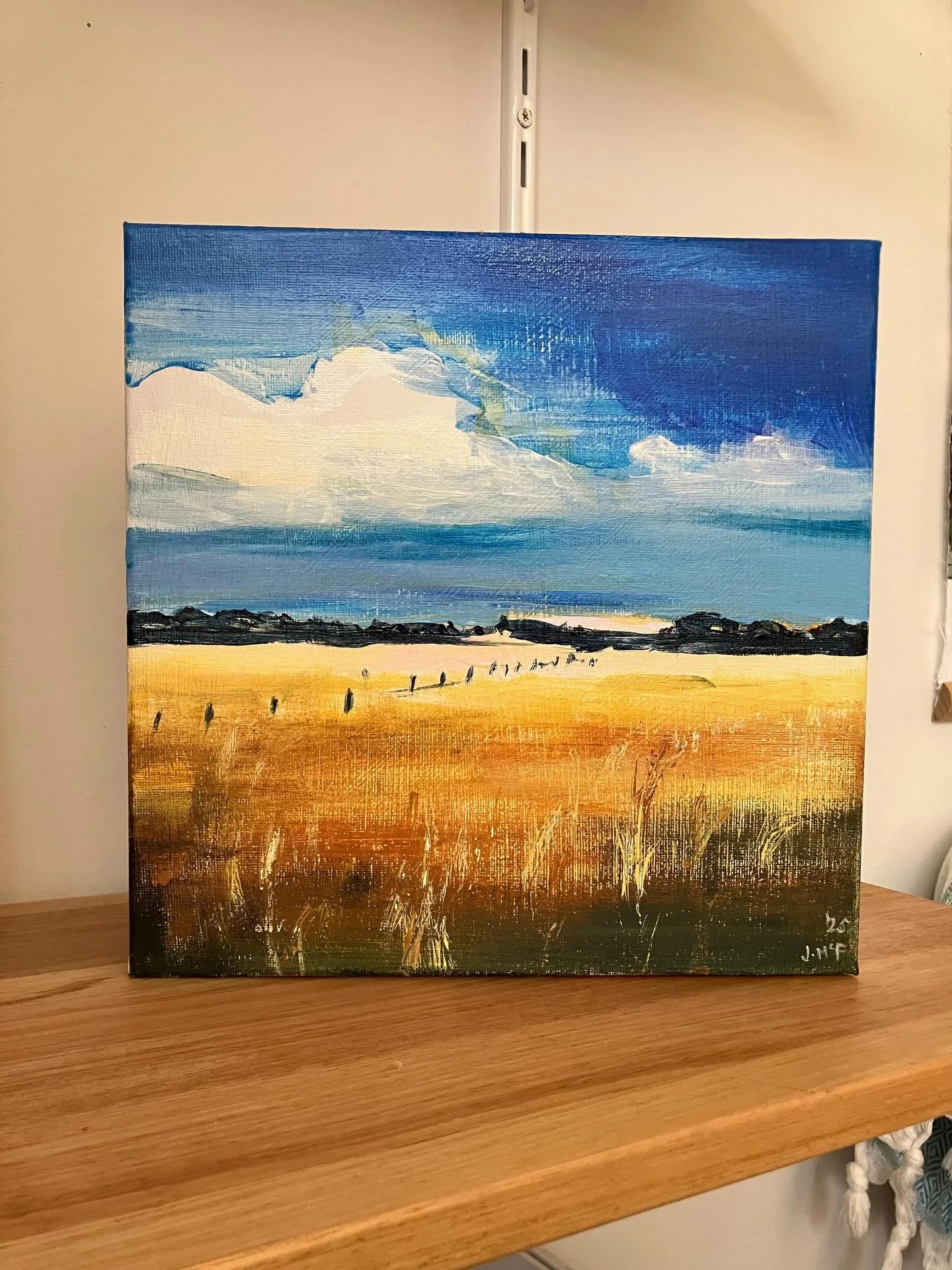 &lsquo;Somers Fields&rsquo; Acrylic on canvas available @artisans_alley_mornington .  It&rsquo;s hard to part with this one 🥰 #jillmcfarlaneart #artisansalleymornington #somers #somersvictoria #mountelizaartist #colourmeadow