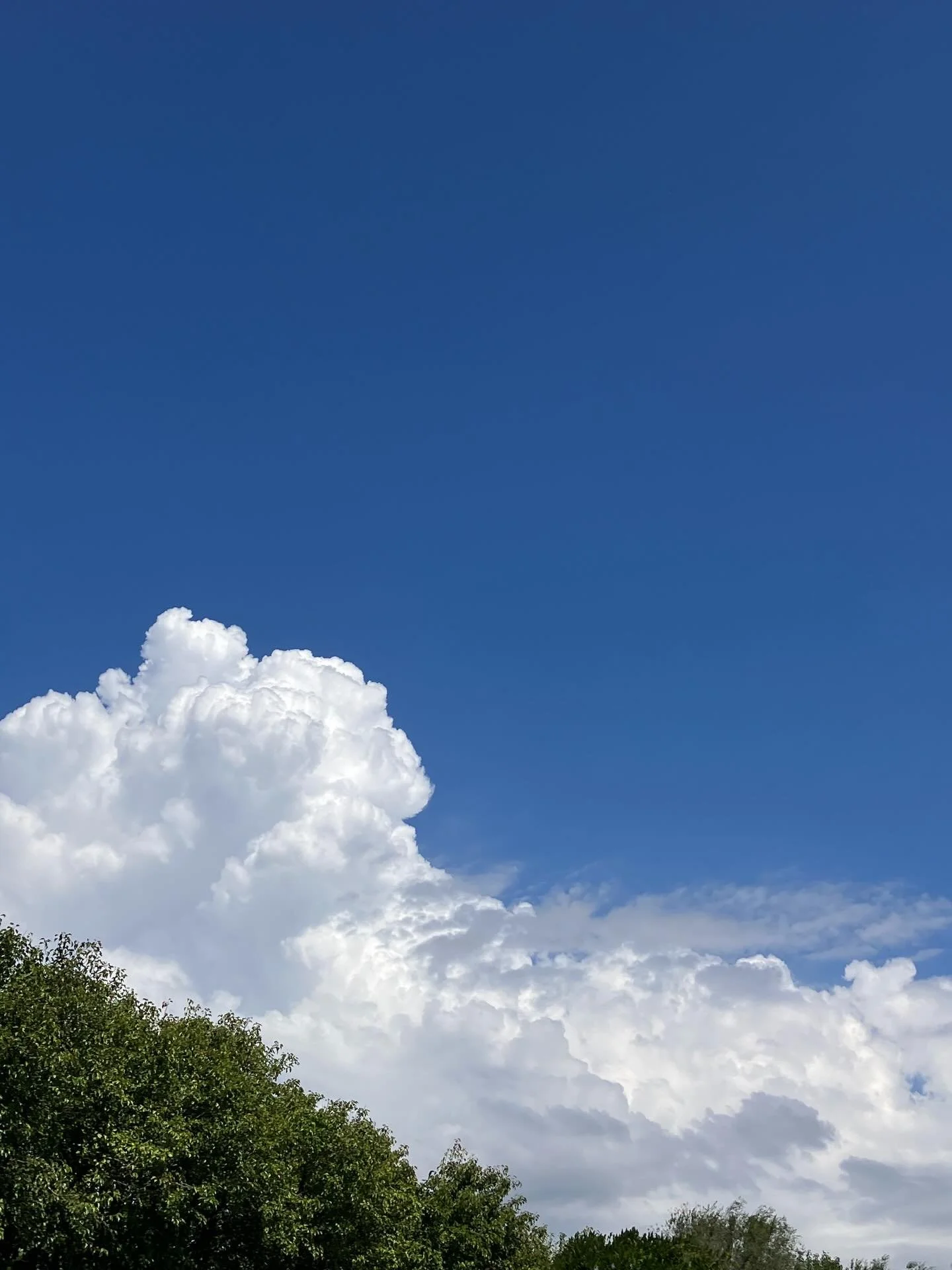 Storm clouds recently - beautiful 👌❤️ #jillmcfarlaneart #lovethepen #morningtonpeninsula #stormclouds #fluffyclouds
