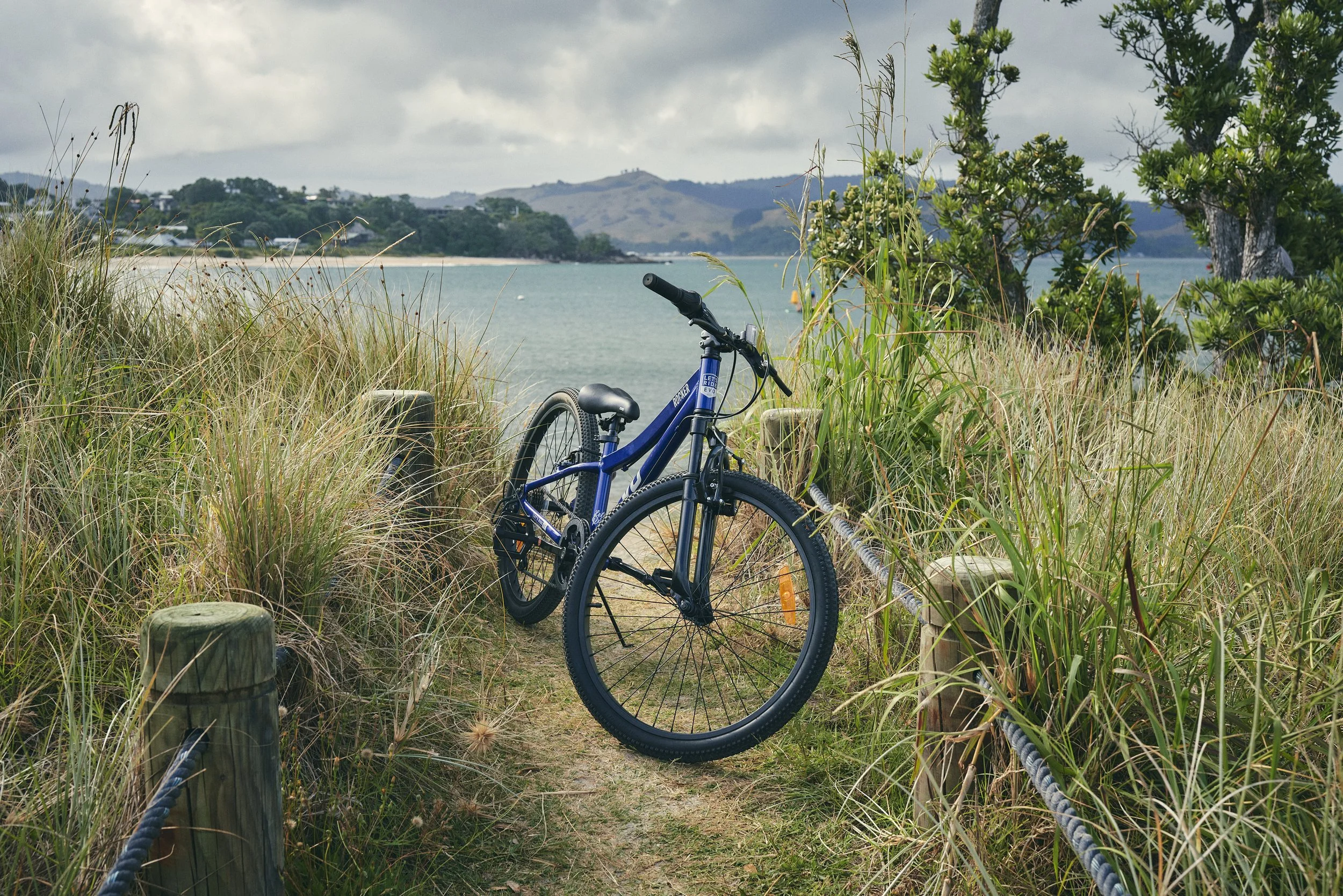 Evo Rocker 24" Kids Bike