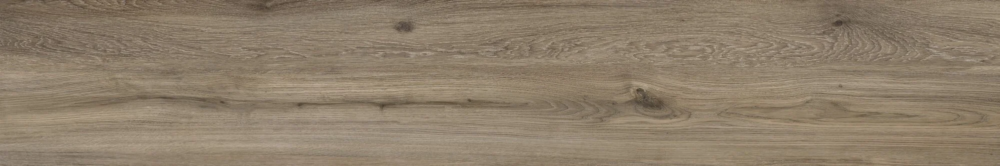 Oak.jpg