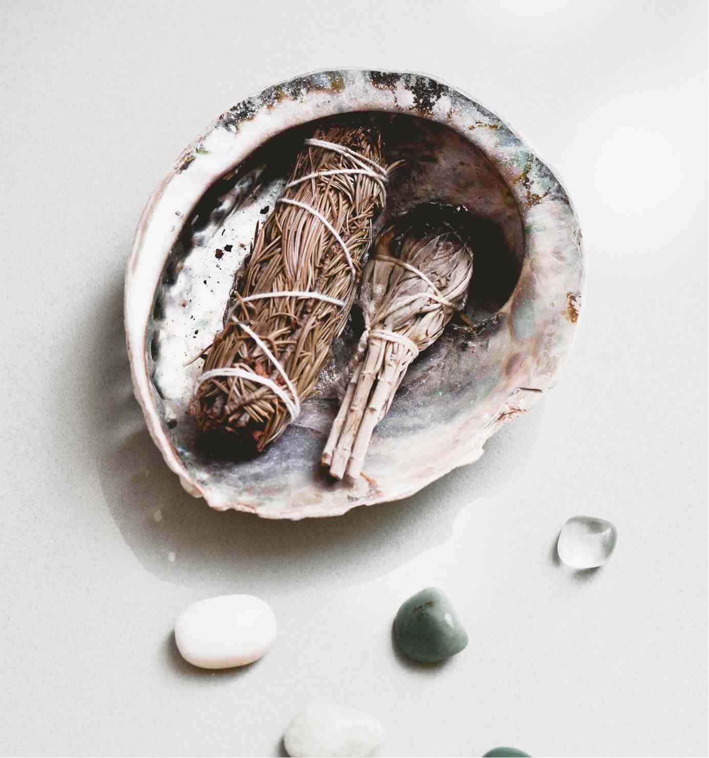 A seashell containing two bundles of dried herbs or plant material, one larger and darker, the other smaller and lighter, on a light surface with scattered smooth stones.
