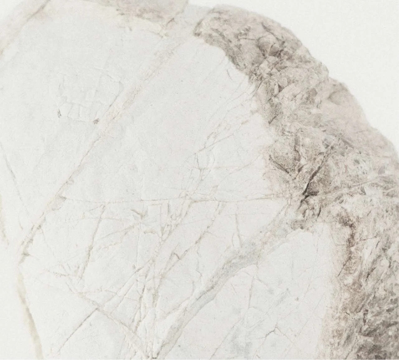 Close-up of a white marble surface with light gray and beige veining.