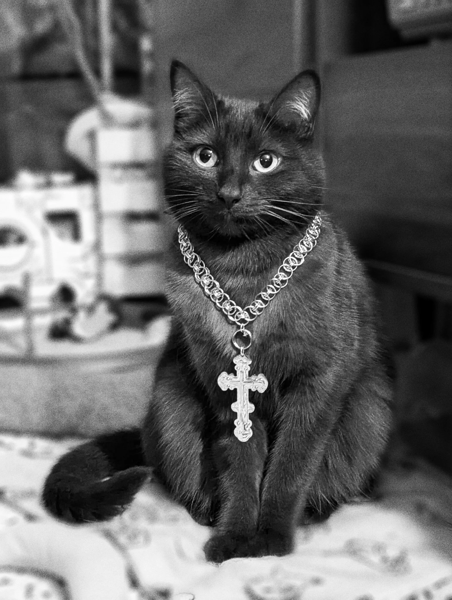 gus in carmilla choker