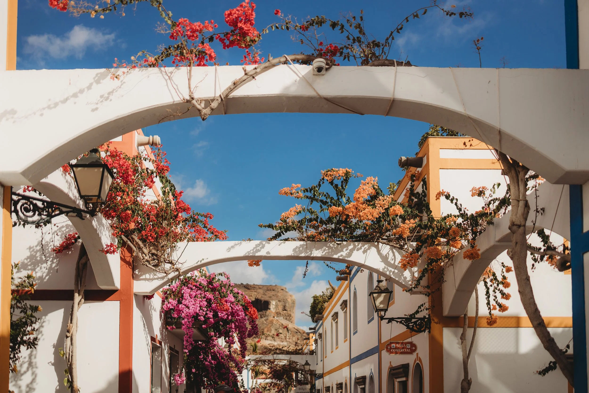 A Day in Puerto de Mogán — Ice Cream, Flowers, and Fish in the Marina