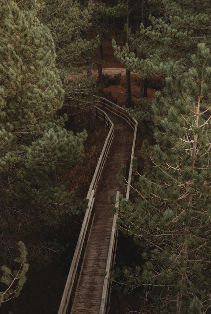 Screenshot 2026-01-25 at 18.29.15.png