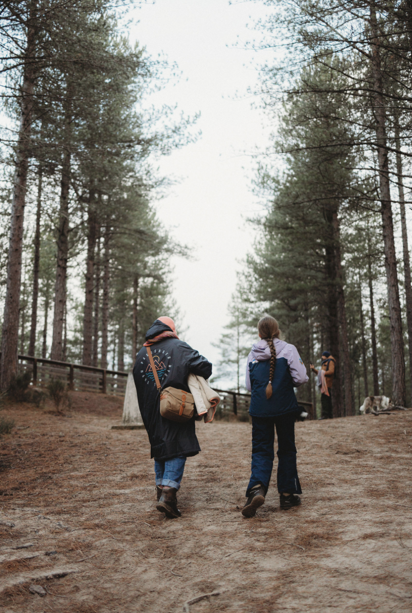 Forest path leading to Hill 99 Tower in winter