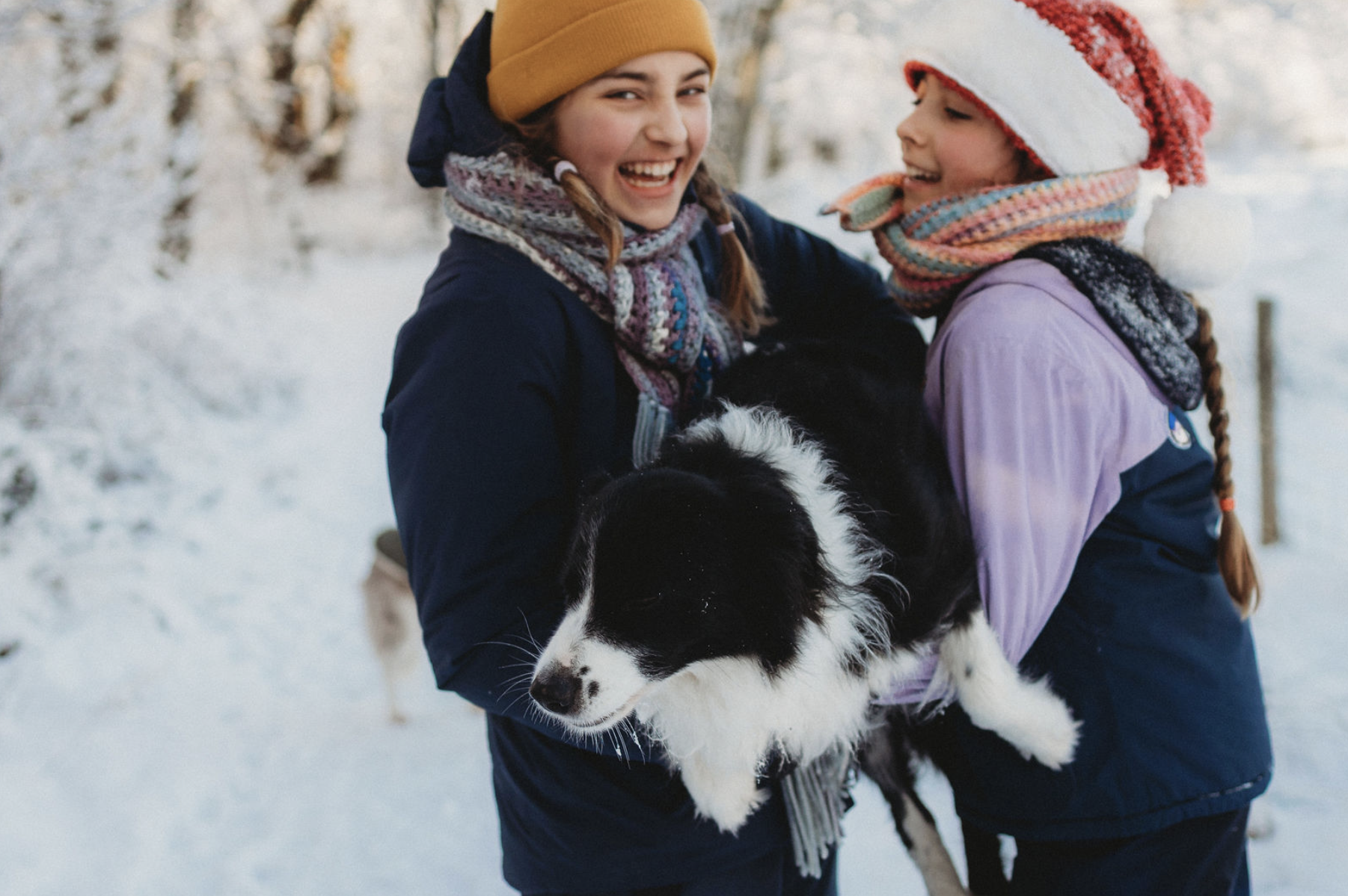 A winter morning below Ben Nevis