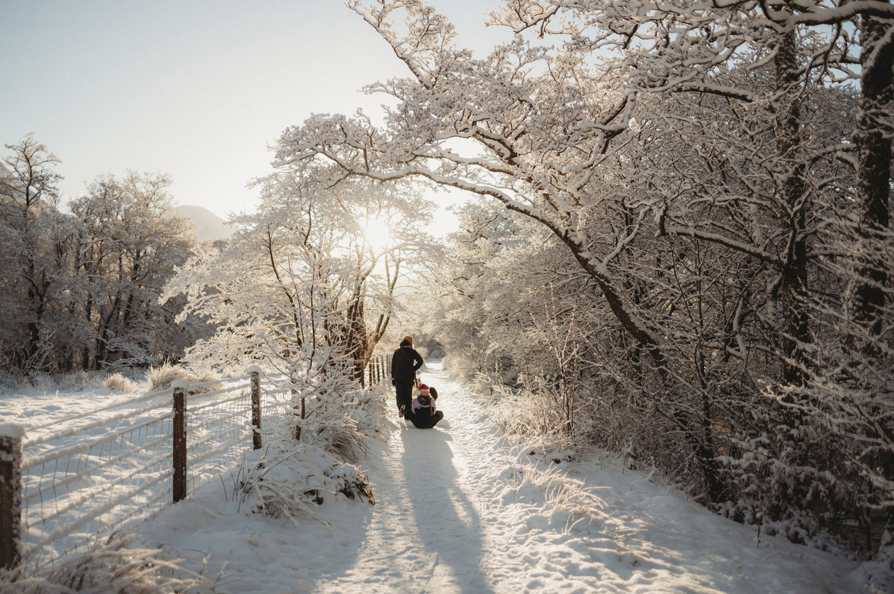 Snowy forest path near Ben Nevis with morning sunlight and people walking through winter landscape