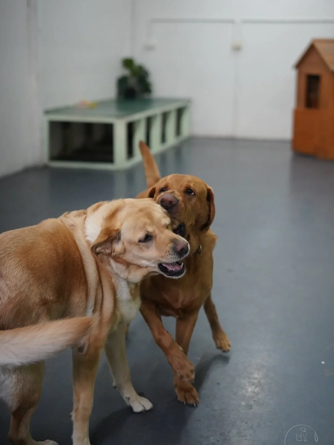 Friday&rsquo;s crew are having a great day at daycare!