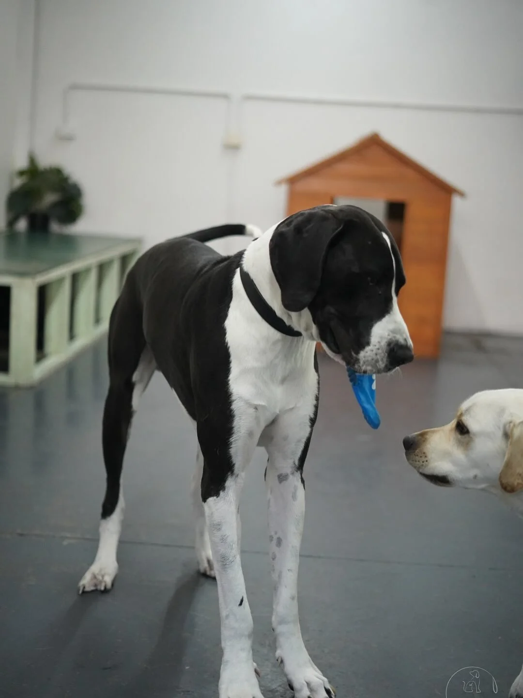 Thursday friends ❤️