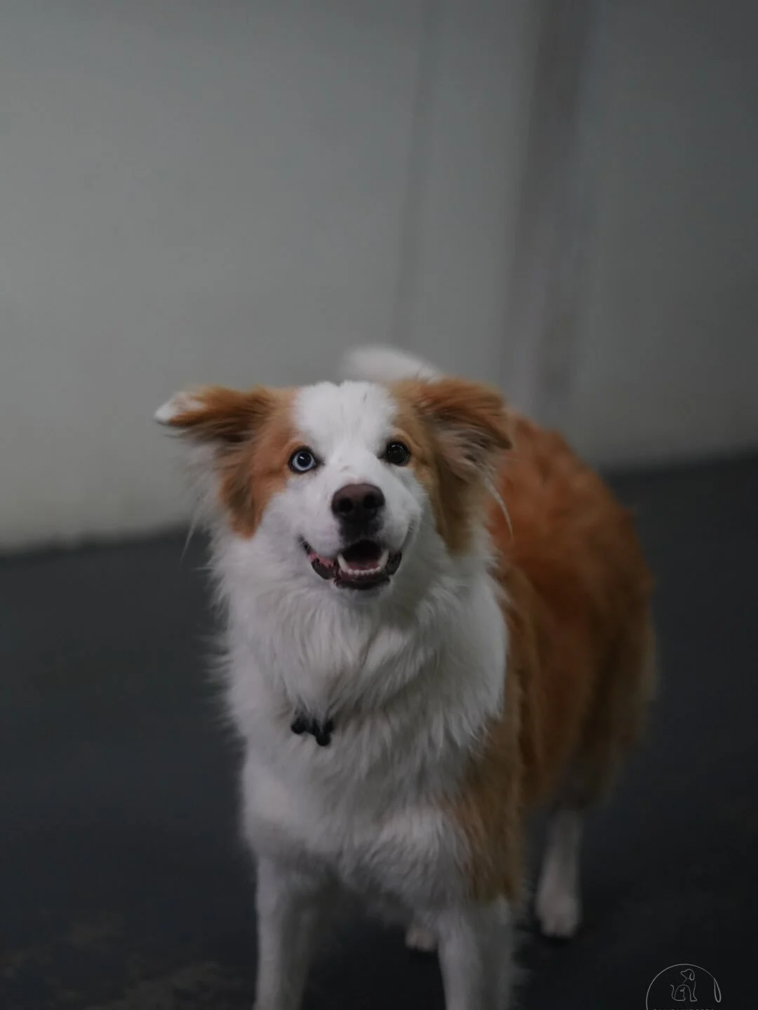 Friday friends 🐾🐾