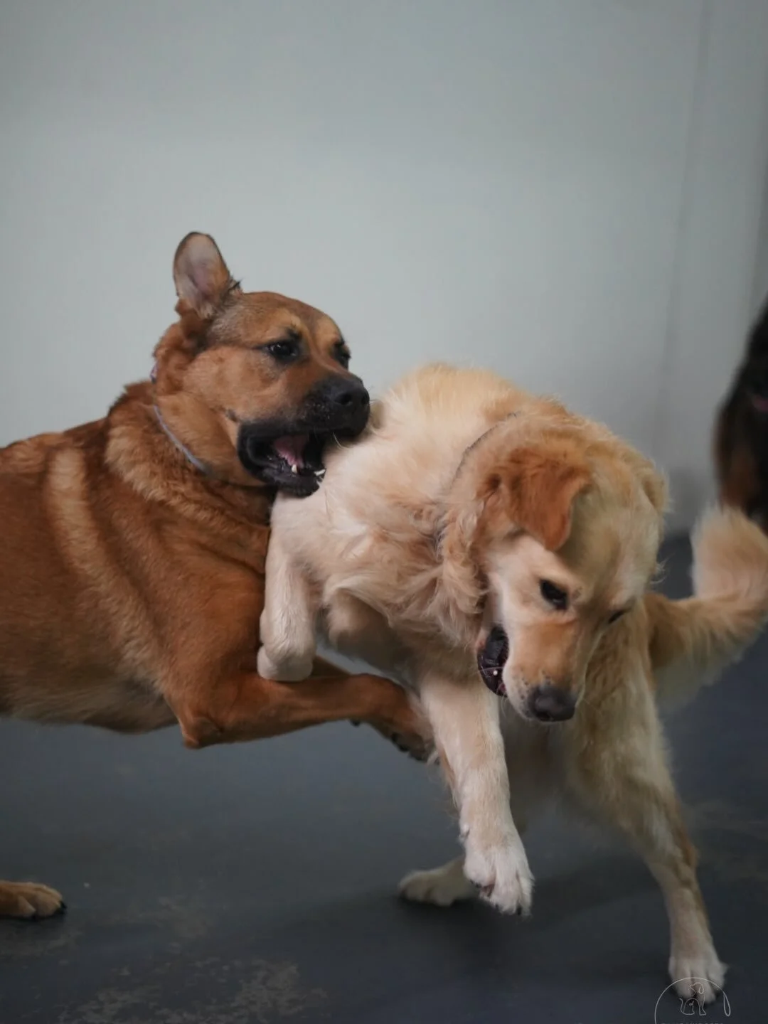 Daycare friends 🥰