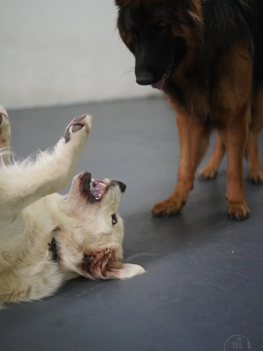 Hump day ❤️❤️