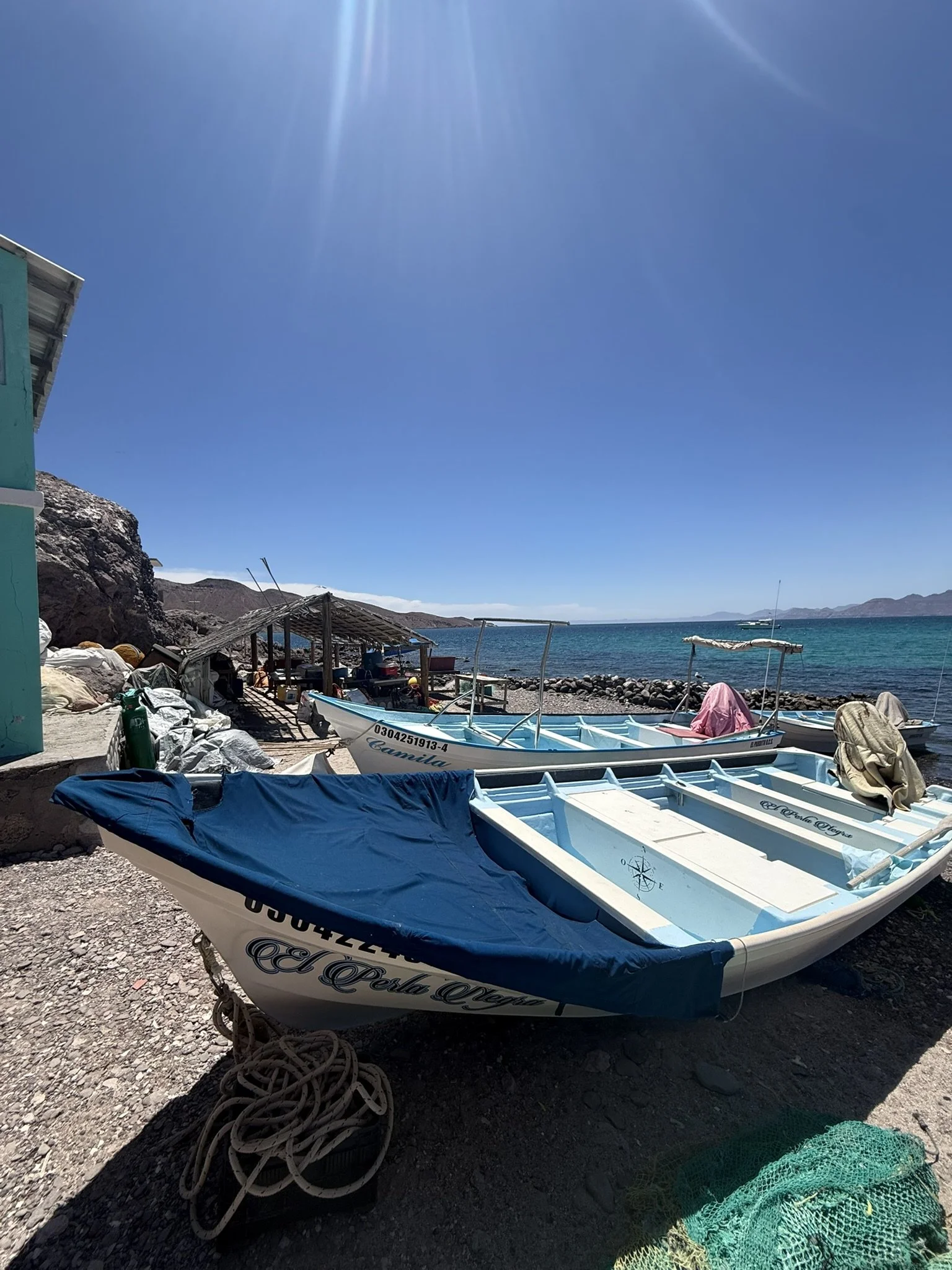 IMG_2723.JPEG
