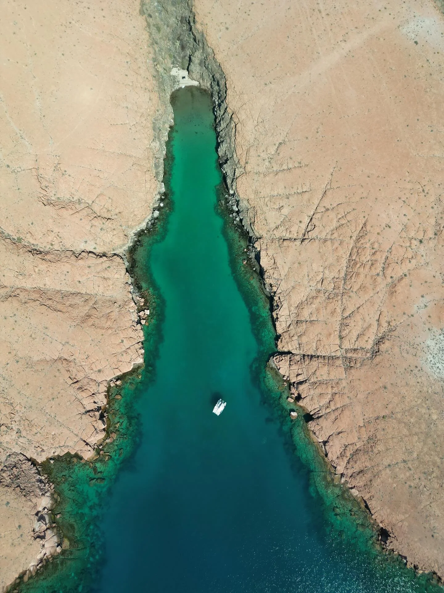 Esp&iacute;ritu Santo #bcs #lapaz #baja #espiritusanto #goodmedicine