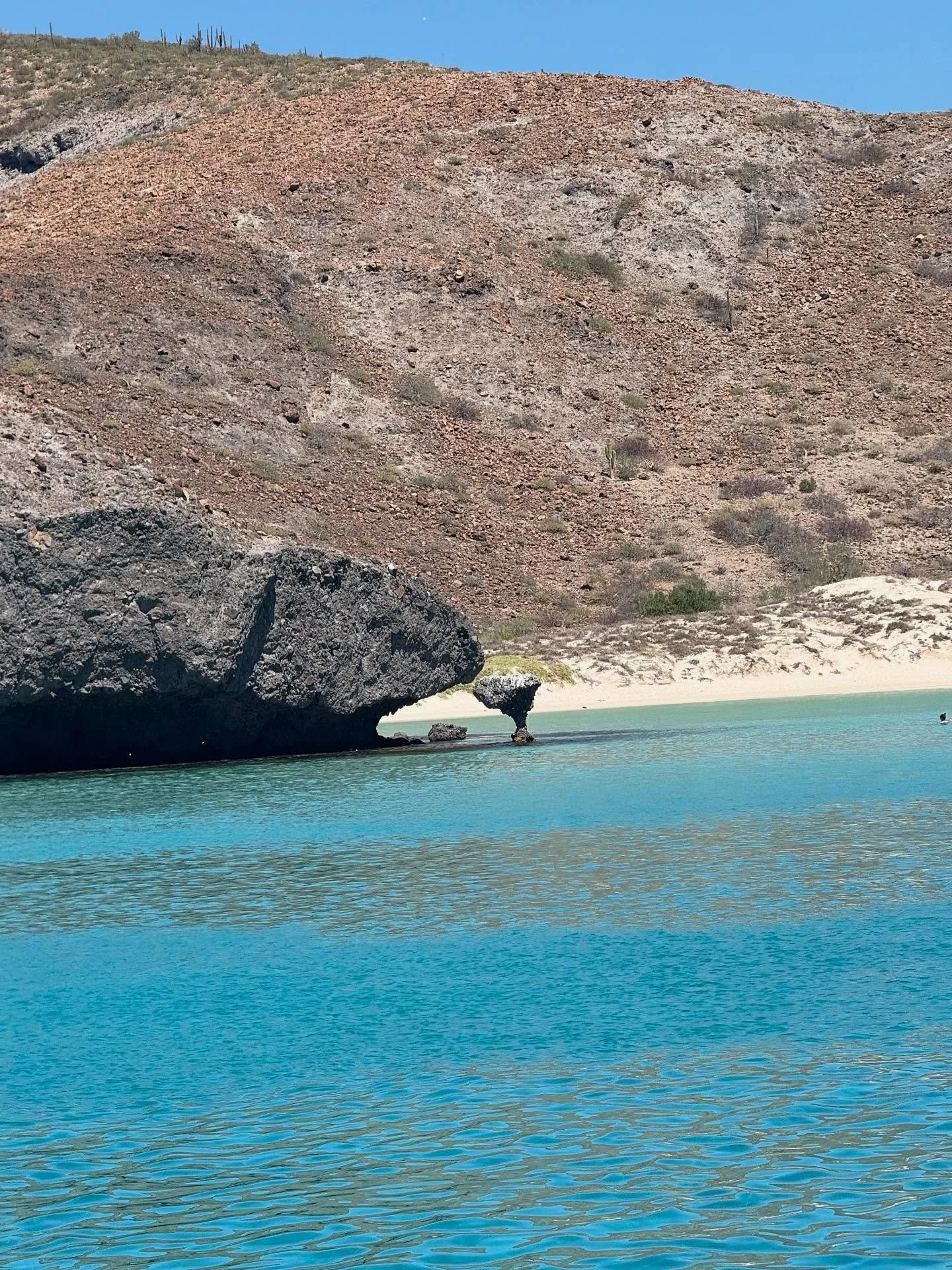Playa Balandra #bcs #baja #lapaz #balandra #goodmedicine