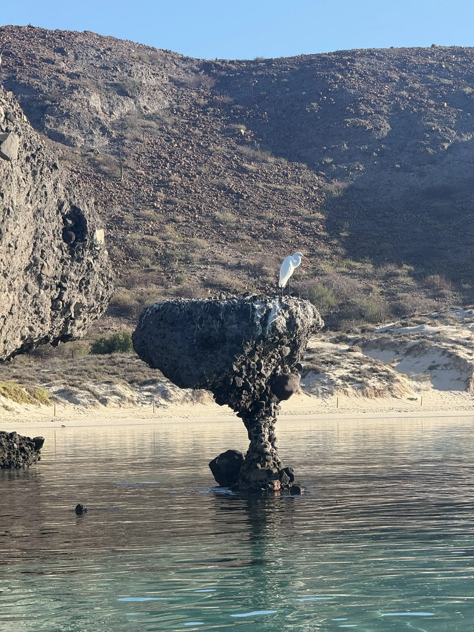 A large rock formation protrudes from the water, with a white bird standing on top. In the background, there is a hillside with sparse vegetation and a clear blue sky.