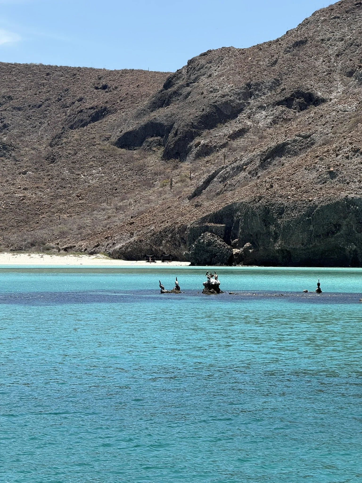 Clear turquoise water with rocks and seabirds, rocky cliffs in the background under a blue sky.