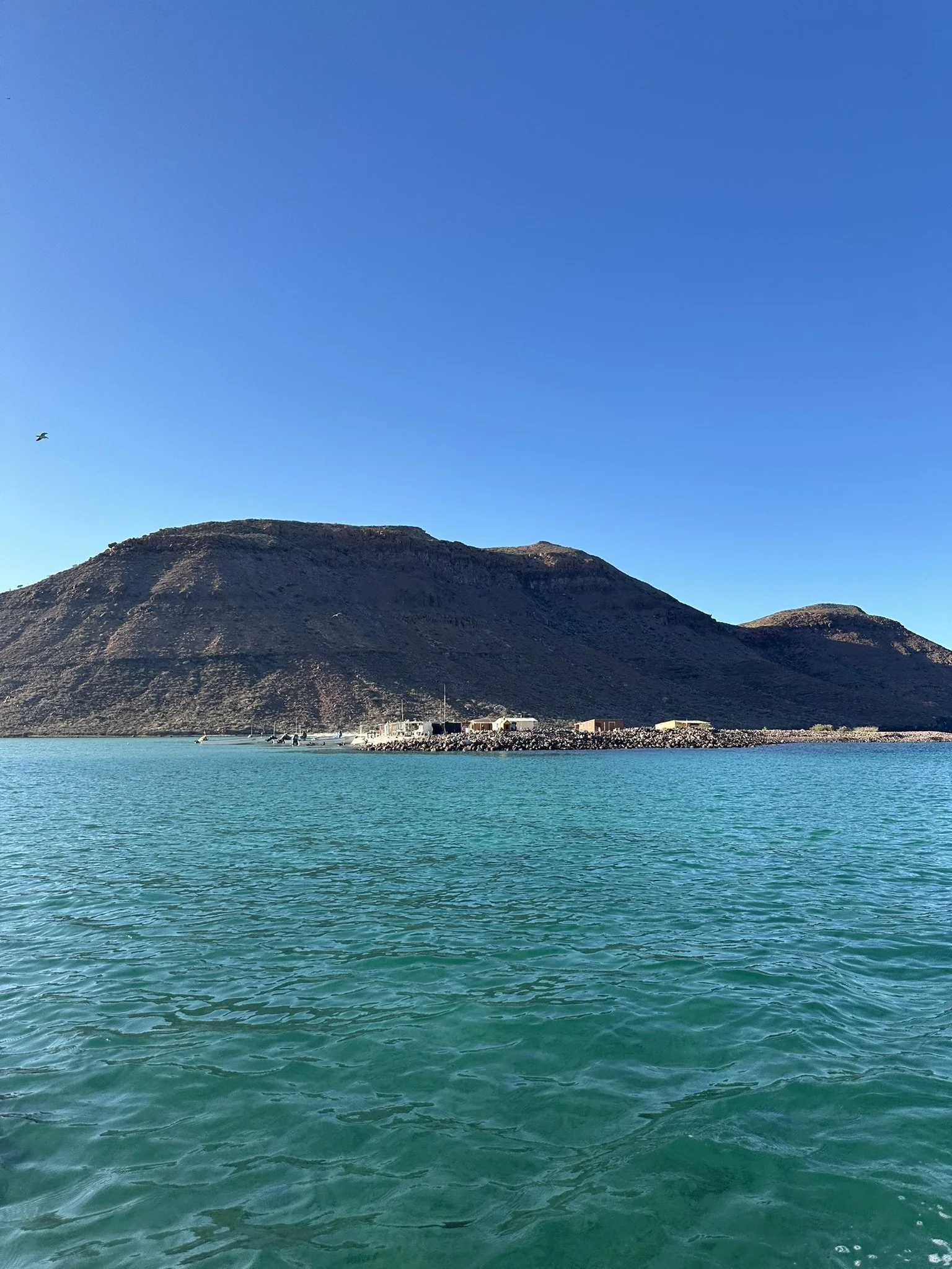 IMG_3604.JPEG