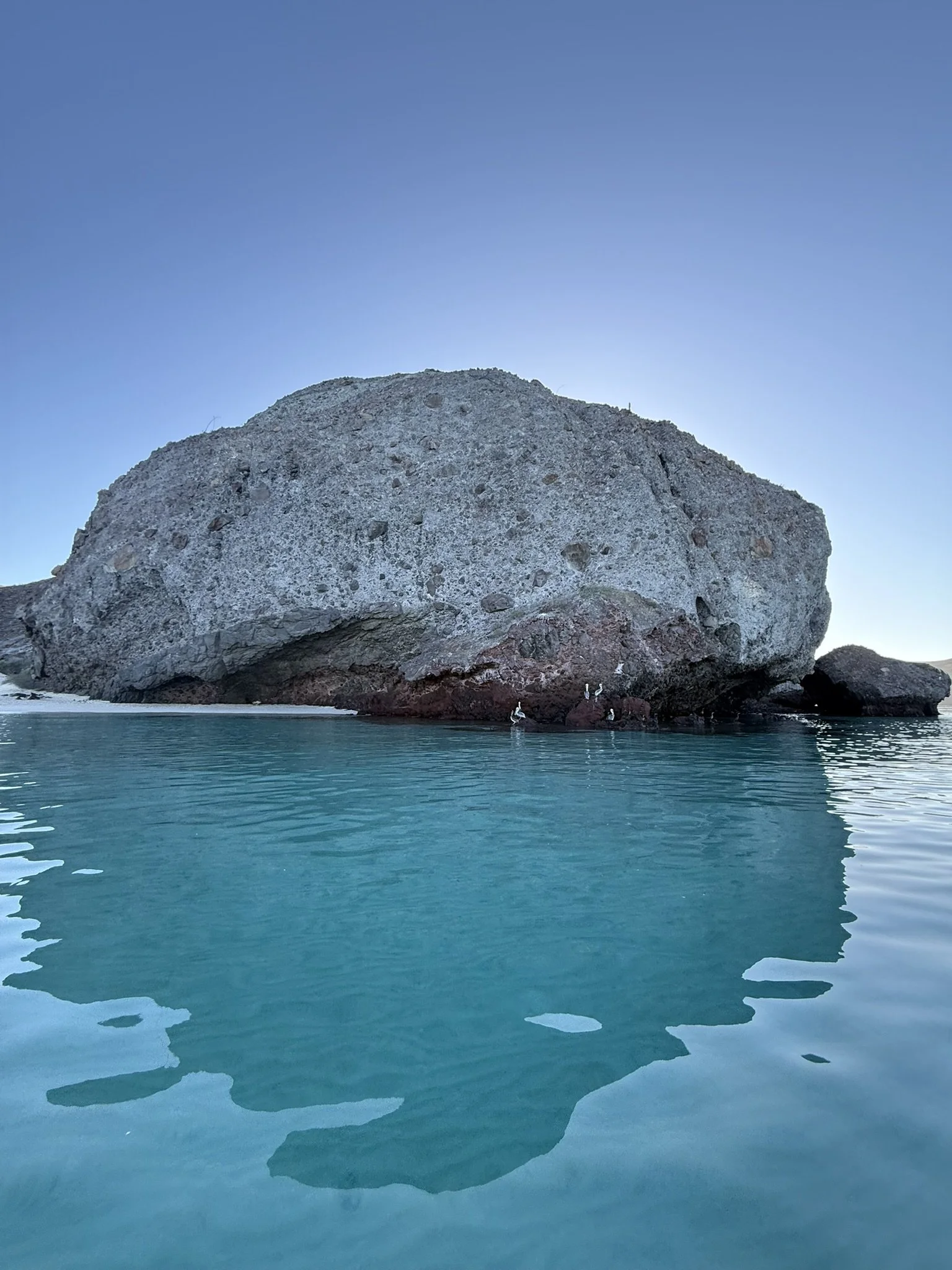 A large rock formation protrudes from calm ocean water, with a clear blue sky above and some seabirds perched on the rocks.