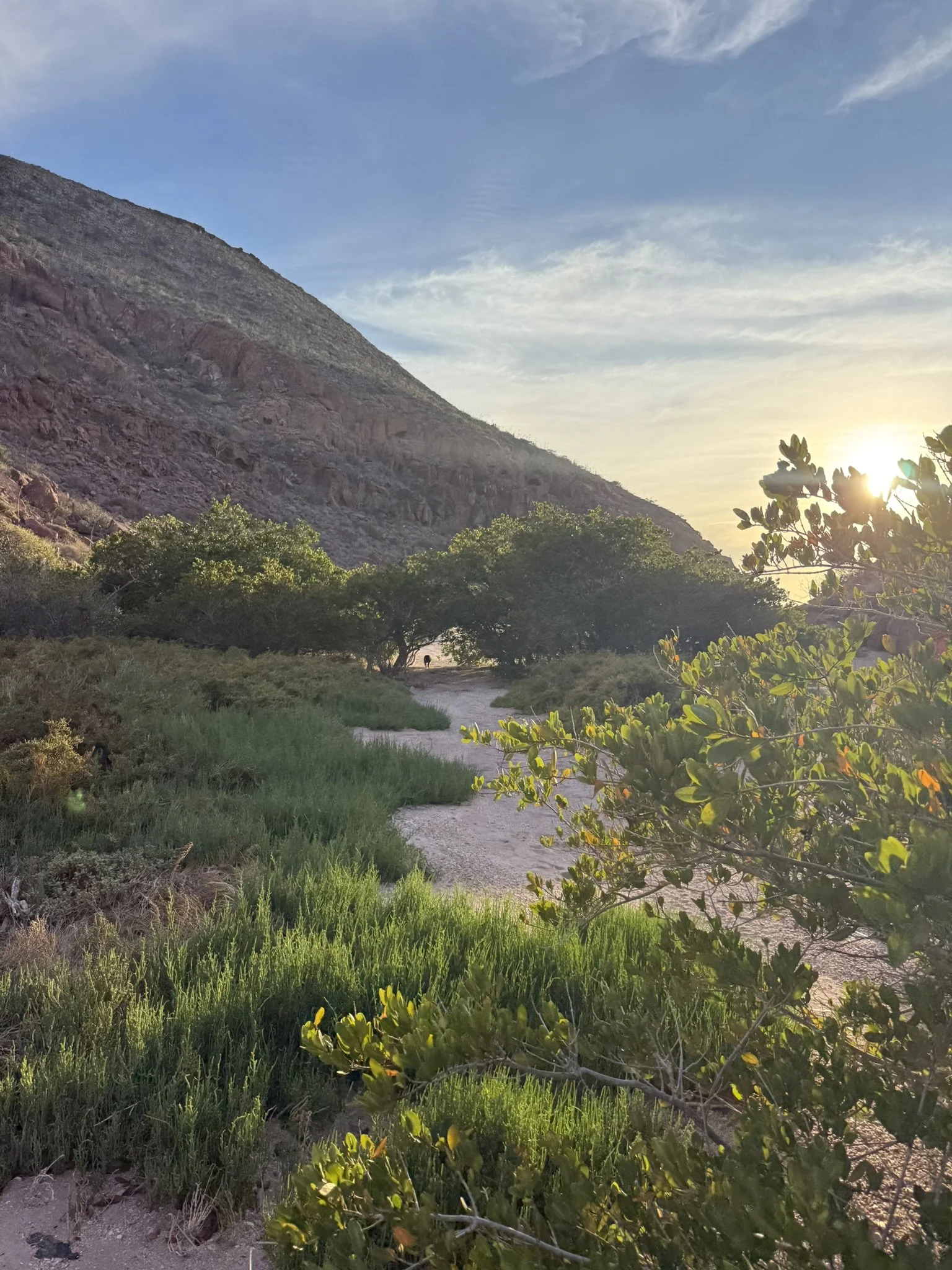 A mountain landscape at sunset with a dirt path, green bushes, and trees in the foreground, a rocky mountain on the left, and a sky with clouds and the setting sun in the background.