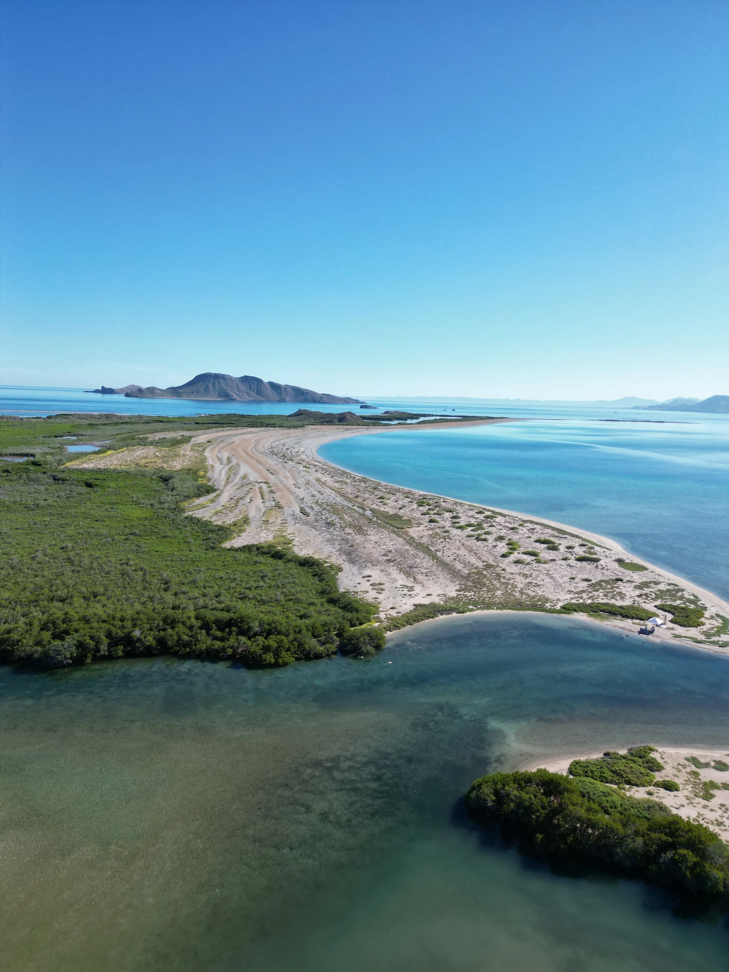 dji_fly_20251001_194706_405_1759448239701_photo.jpg