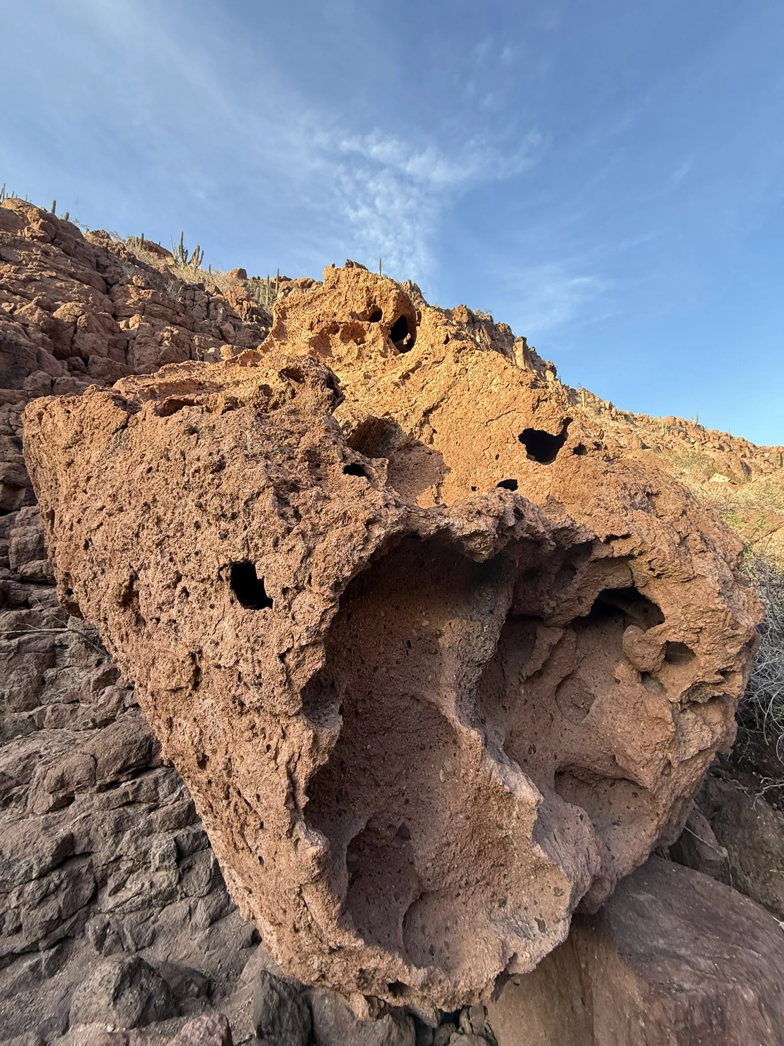 Large reddish-brown rock formation with multiple holes and cavities, set against a bright blue sky with some wispy clouds, and sparse desert vegetation including cacti in the background.